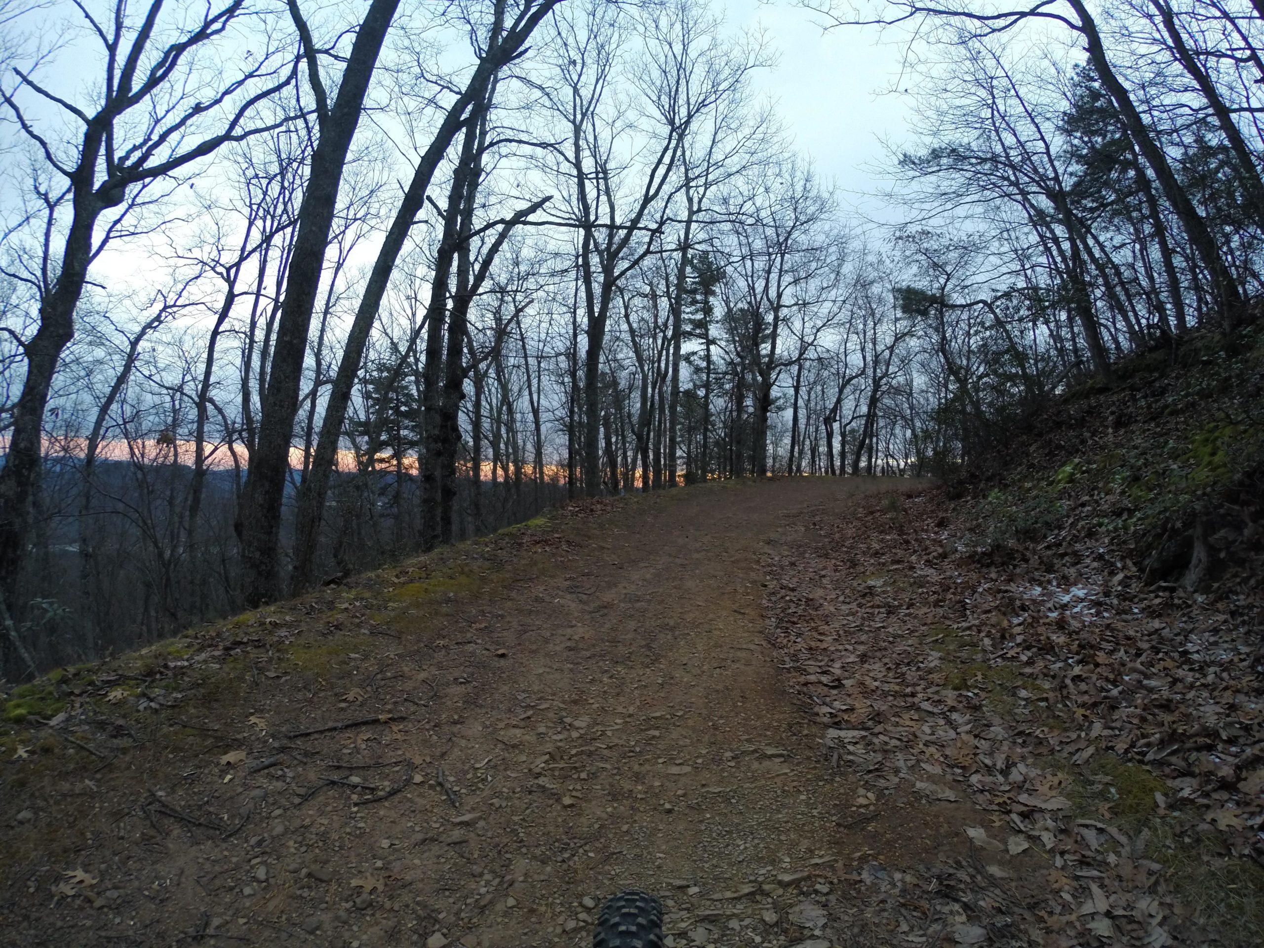 A winding dirt path surrounded by bare trees under a twilight sky, with hints of orange at the horizon, indicating sunset. Leaves are scattered along the path, and the atmosphere is calm and tranquil, suggesting a peaceful outdoor setting. Carvin's Cove Trail system mountain bike trail.