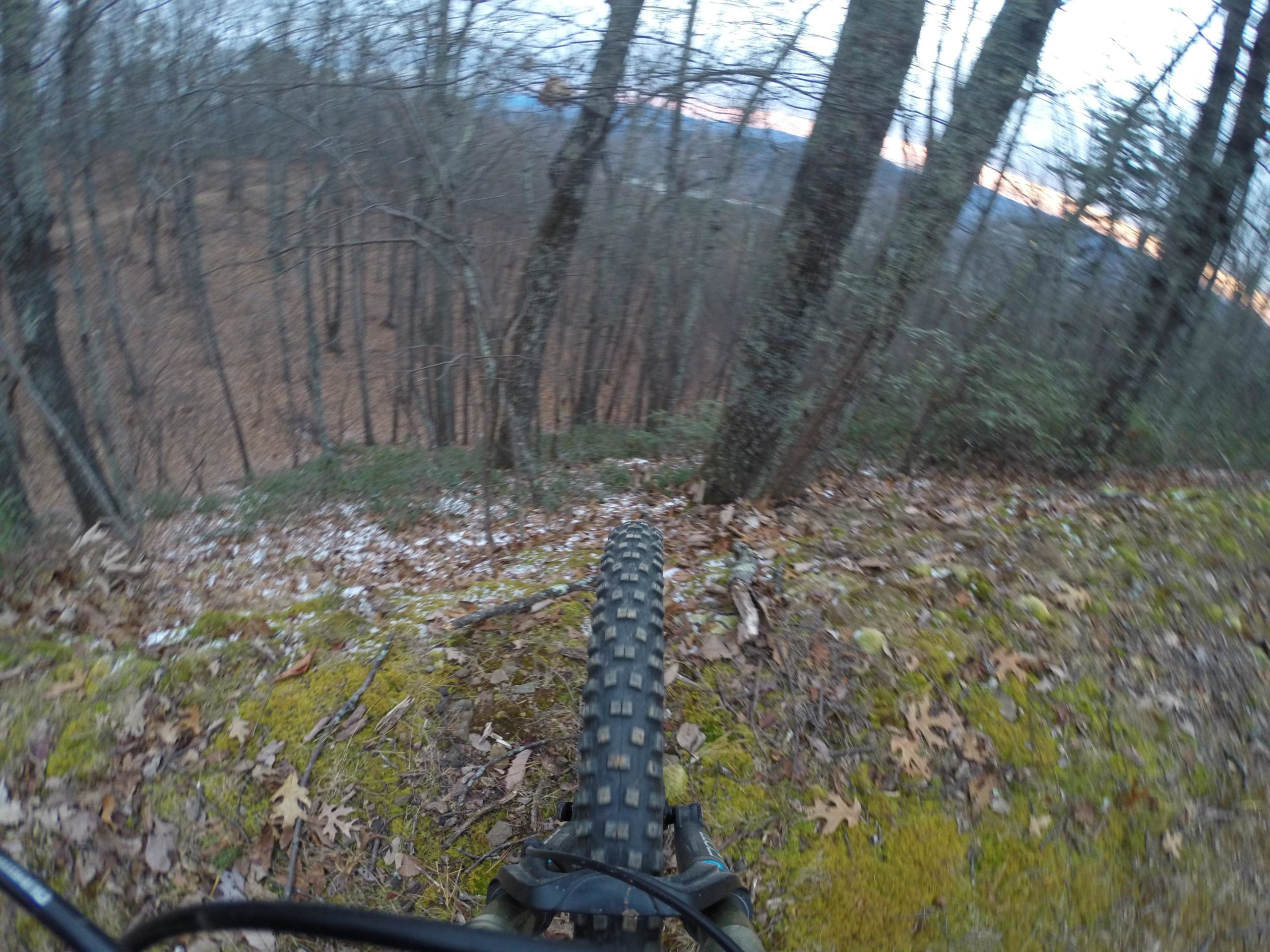A close-up view of a bicycle tire on a mossy surface, with a forest landscape in the background featuring bare trees and fallen leaves. The ground slopes downward, suggesting a downhill path through the woods during twilight. Carvin's Cove Trail system mountain bike trail.