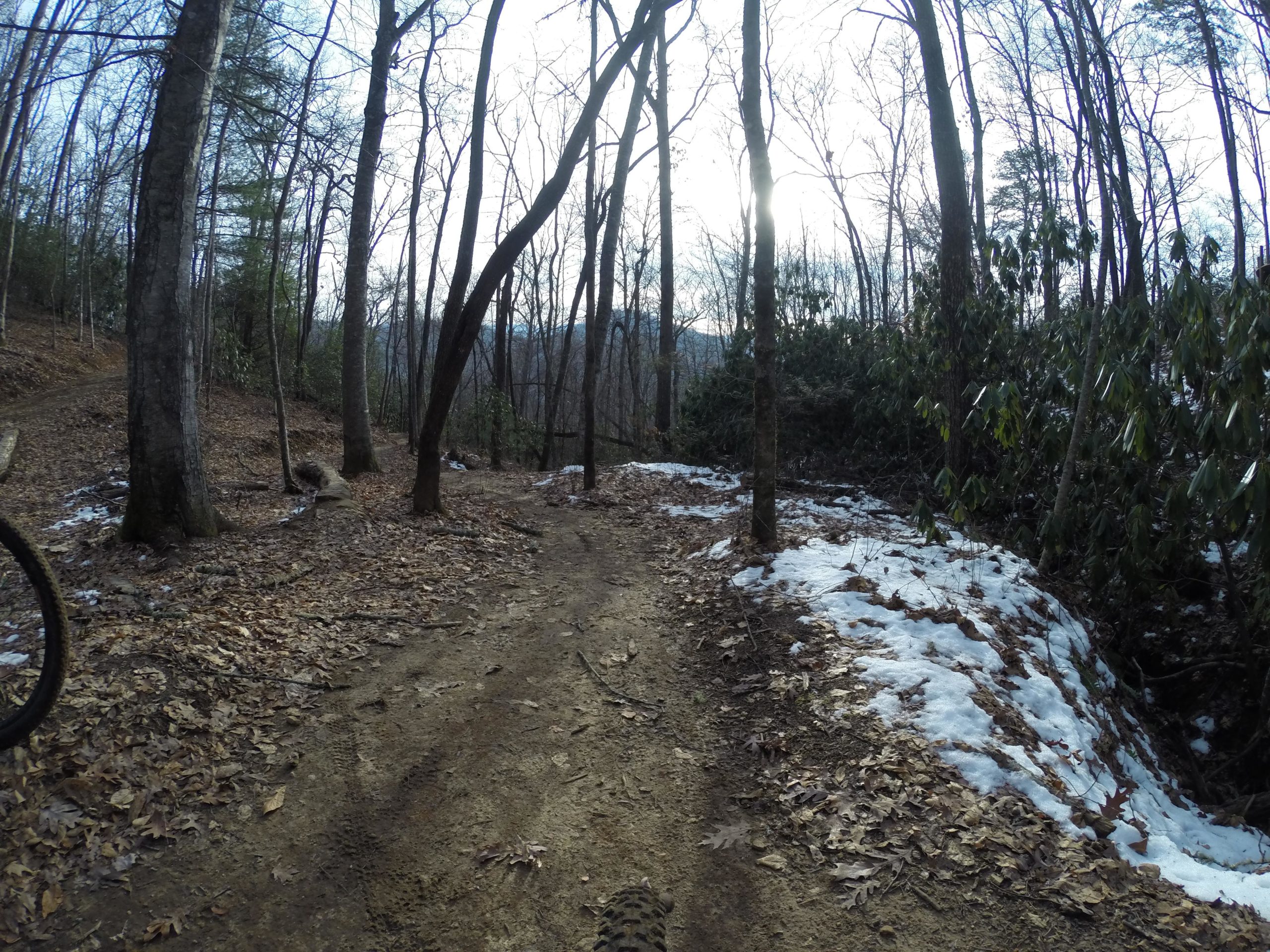 A dirt trail winding through a forest with tall, leafless trees and patches of snow on the ground. The sun is partially visible in the sky, casting a soft light over the scene, while dead leaves cover the ground along the path. Lush green shrubs can be seen on the right side of the trail. Fire Mountain Trail System mountain bike trail.