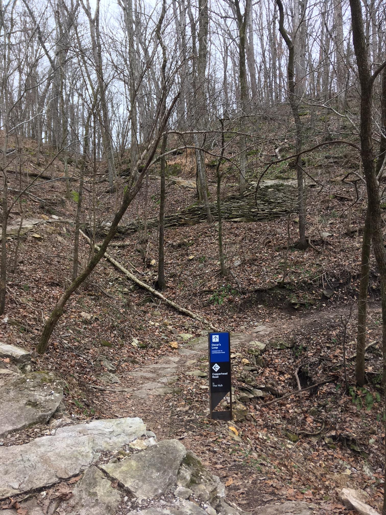 A forested hiking trail with a sign indicating directions to "Cedar's Lounge" and "Copperhead" trailheads. The scene features bare trees, scattered leaves on the ground, and rocky terrain, typical of a wooded area in early spring. Coler Mountain Bike Preserve mountain bike trail.