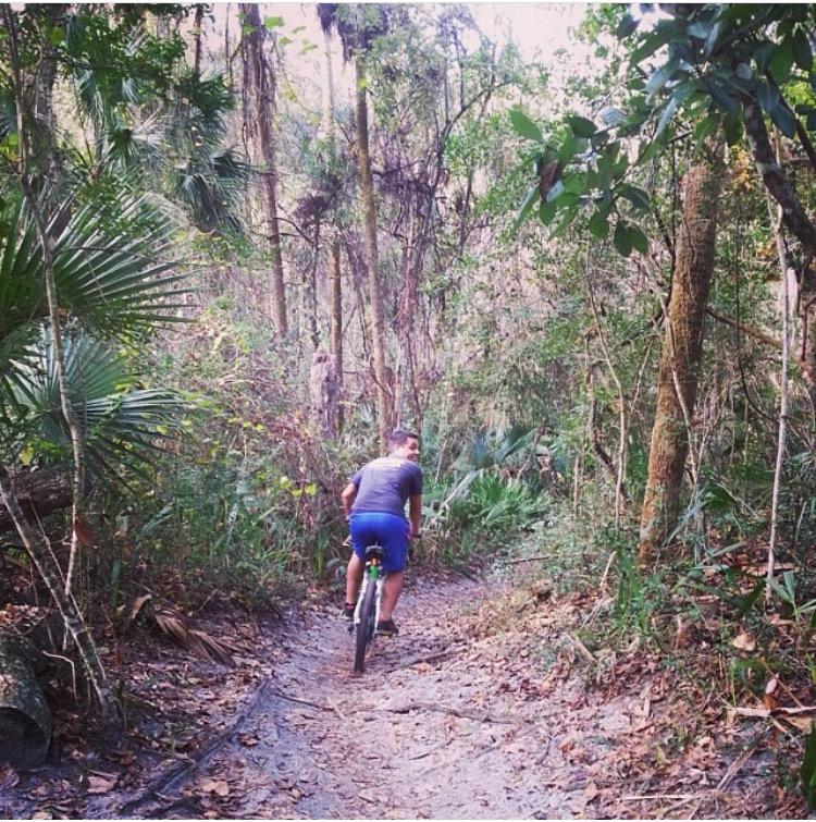 A person riding a bicycle on a narrow trail in a lush, green forest surrounded by trees and vegetation. The cyclist, wearing a gray t-shirt and blue shorts, is seen from the back as they navigate the path, with fallen leaves and tropical plants lining the route. Kathryn Abby Hanna Park mountain bike trail.