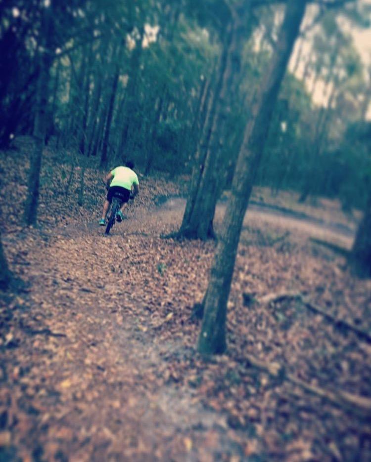 A person riding a mountain bike along a dirt trail in a wooded area, surrounded by trees and fallen leaves, with a focus on their bright yellow shirt. Tillie Fowler Regional Park mountain bike trail.