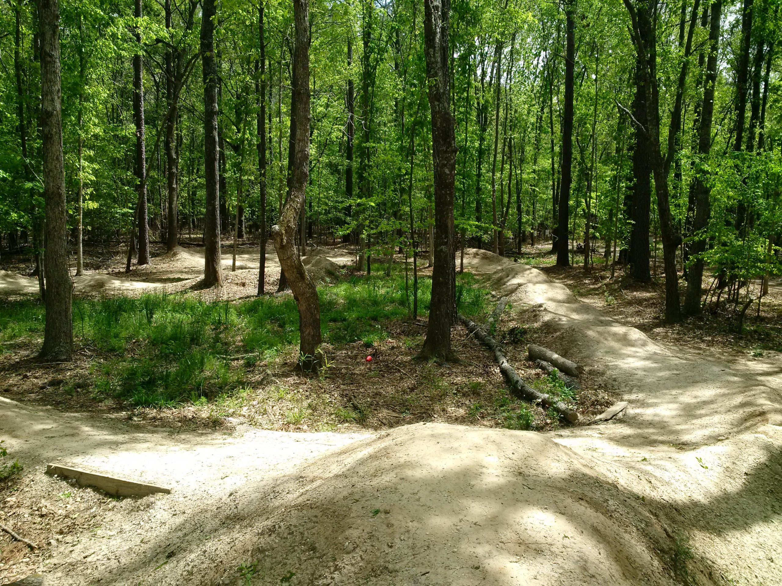 A forested area featuring dirt bike trails surrounded by lush greenery and tall trees. The trails are winding, with jumps and curves visible in the pathway, creating a natural setting for outdoor biking activities. Sunlight filters through the leaves, casting a warm glow on the trails. Marrington Trail mountain bike trail.