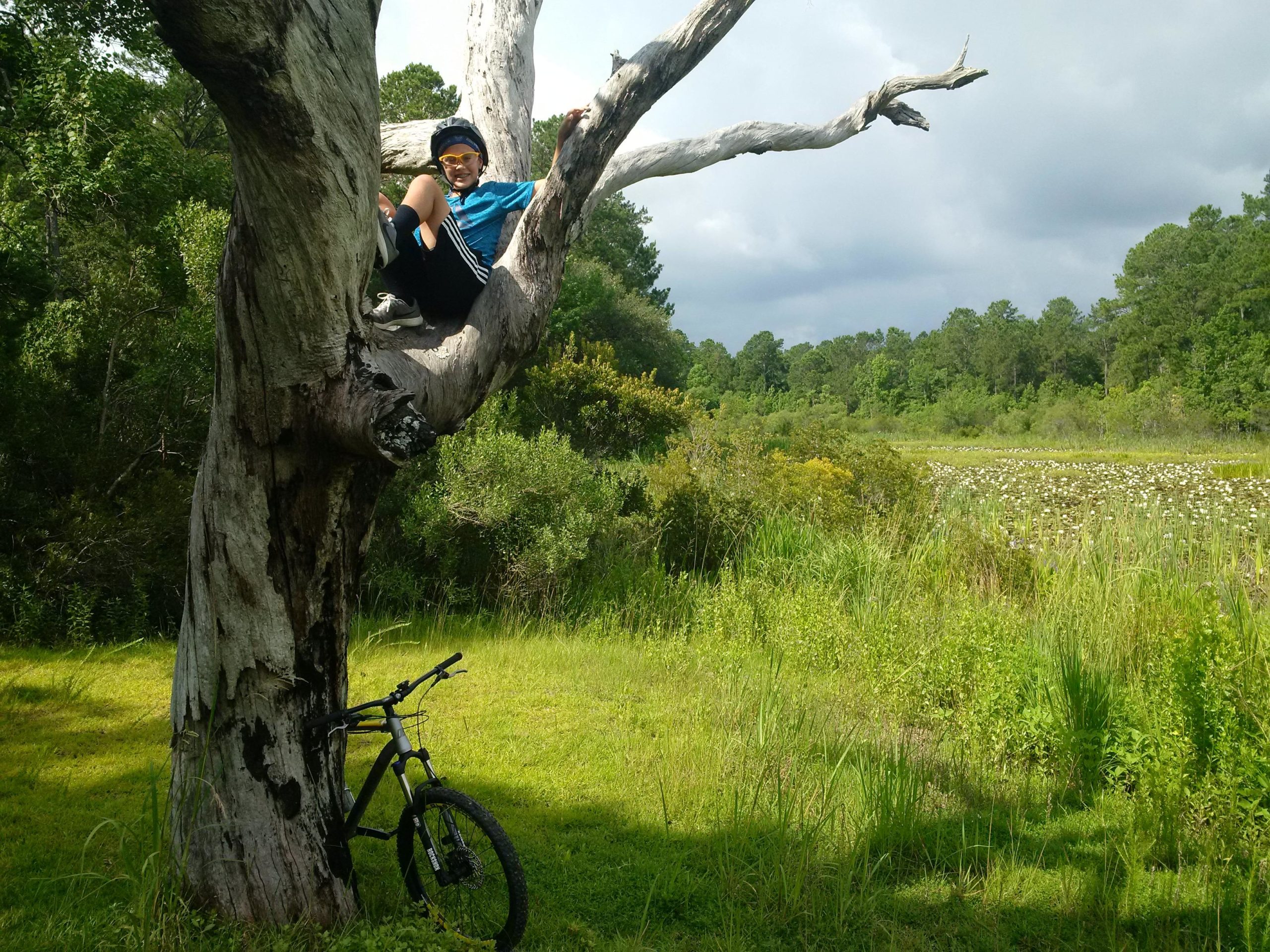 A child wearing a helmet and sunglasses sits playfully in the branches of a large, weathered tree, smiling at the camera. A mountain bike leans against the tree next to a grassy area, with a scenic view of a wetland and lush greenery in the background. Cloudy skies are visible overhead. Marrington Trail mountain bike trail.