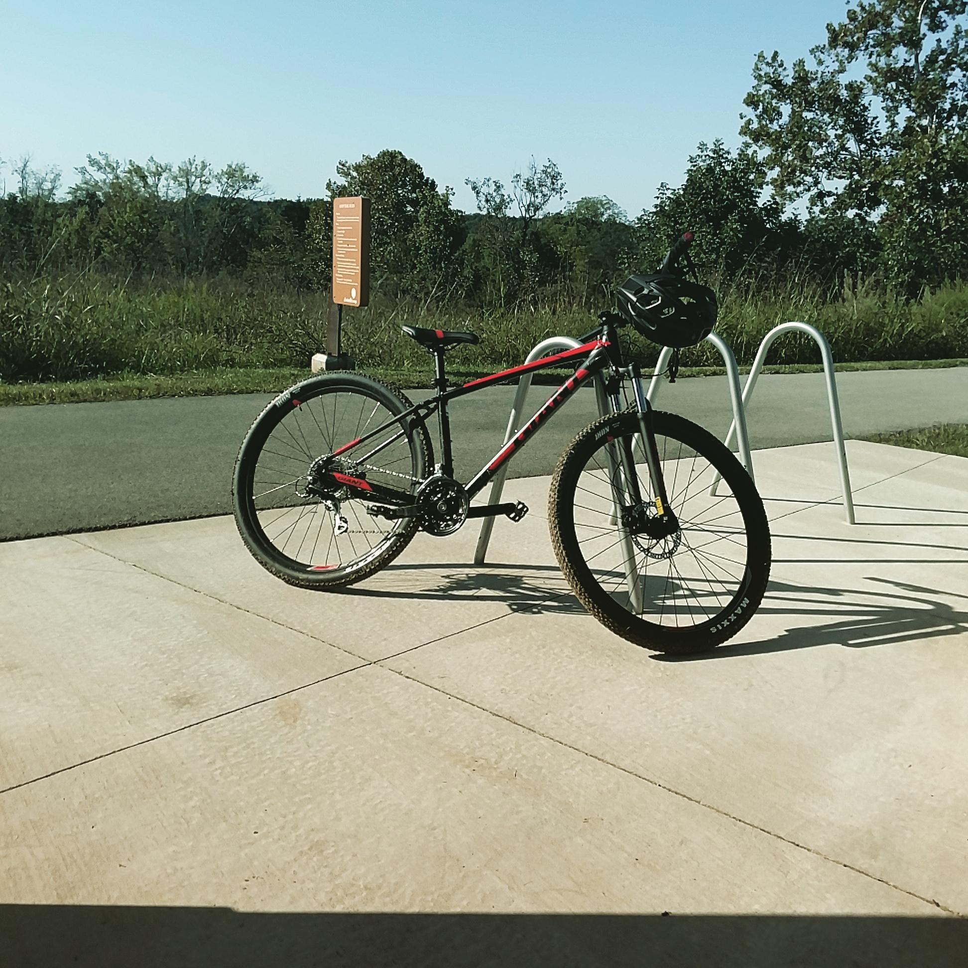 2017 Giant Talon 3: A black and red mountain bike is parked at a bike rack on a sunny day. In the background, there is a grassy area and a paved path. An informational sign is positioned nearby, indicating it is a cycling area. The scene captures a clear blue sky and the surrounding greenery.