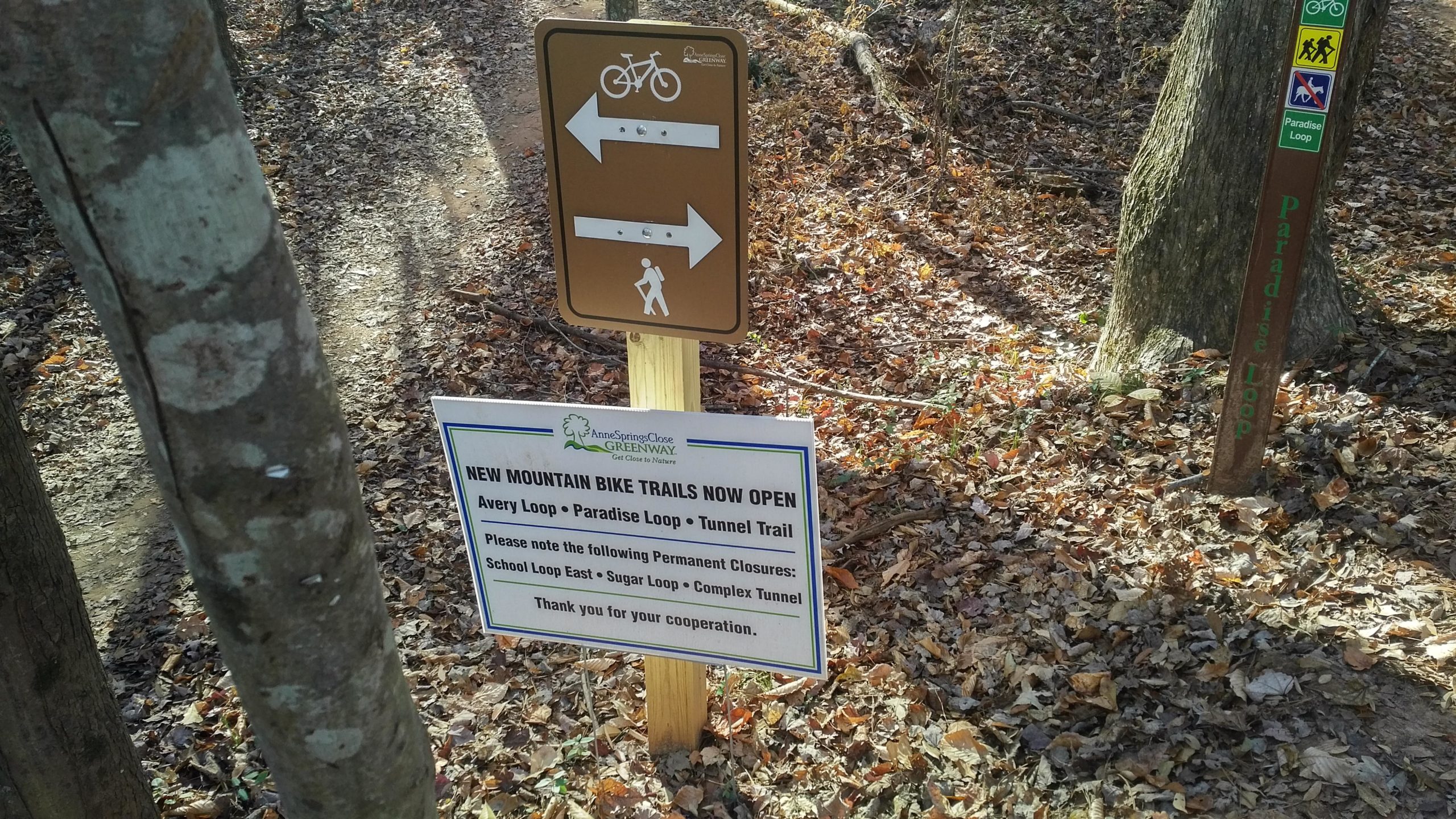 Signage at a mountain bike trail showing directional arrows for bikers and hikers, with a text notice stating "NEW MOUNTAIN BIKE TRAILS NOW OPEN" and listing available trails, including Avery Loop, Paradise Loop, and Tunnel Trail. The sign also notes permanent trail closures. The background features a wooded area covered with fallen leaves. Anne Springs Close Greenway mountain bike trail.