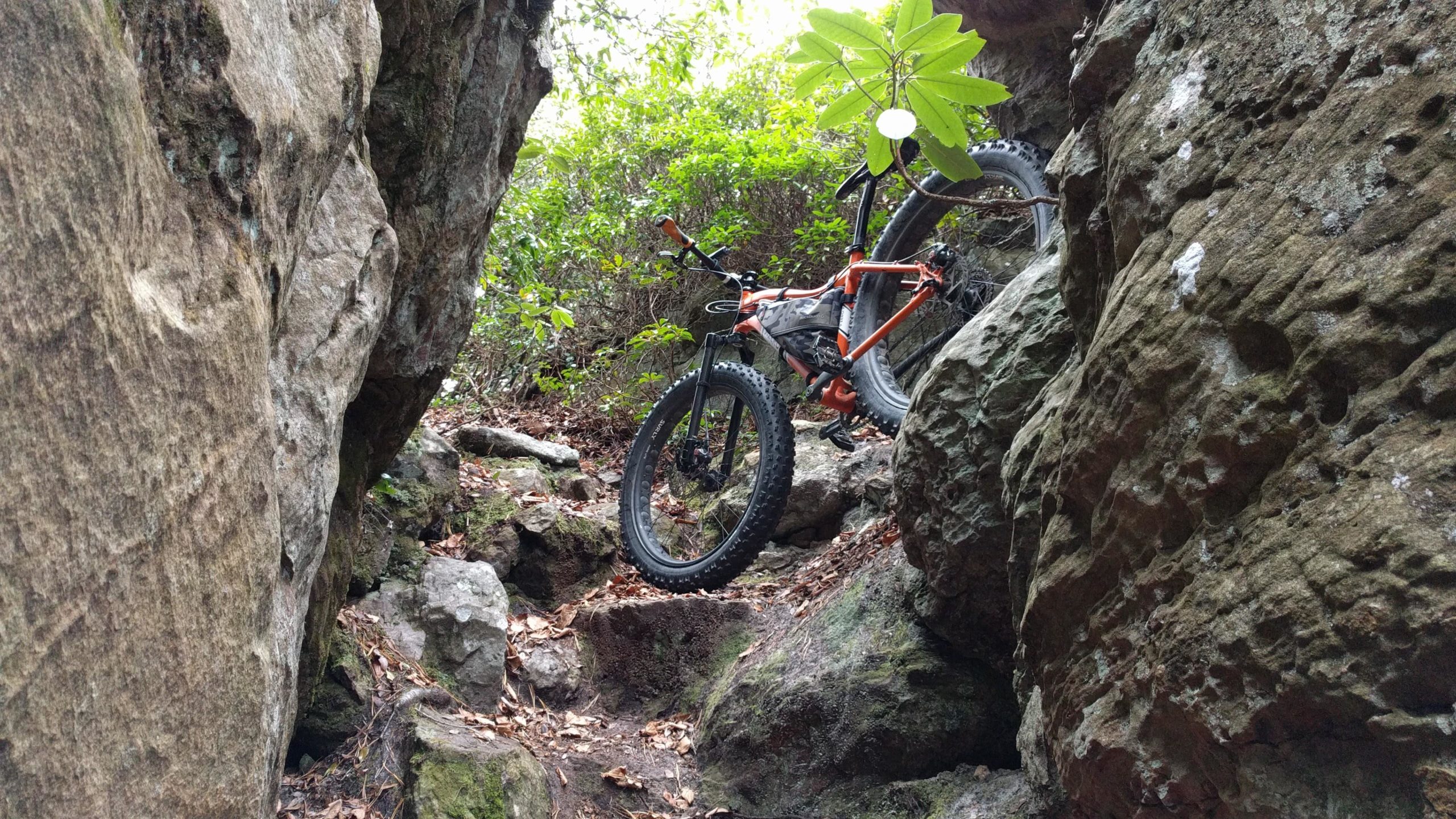 An orange mountain bike leaning against a large rock formation in a narrow, rocky trail surrounded by greenery. The path is partially covered in leaves, indicating a natural outdoor setting. North Mountain/longdale Loop mountain bike trail.