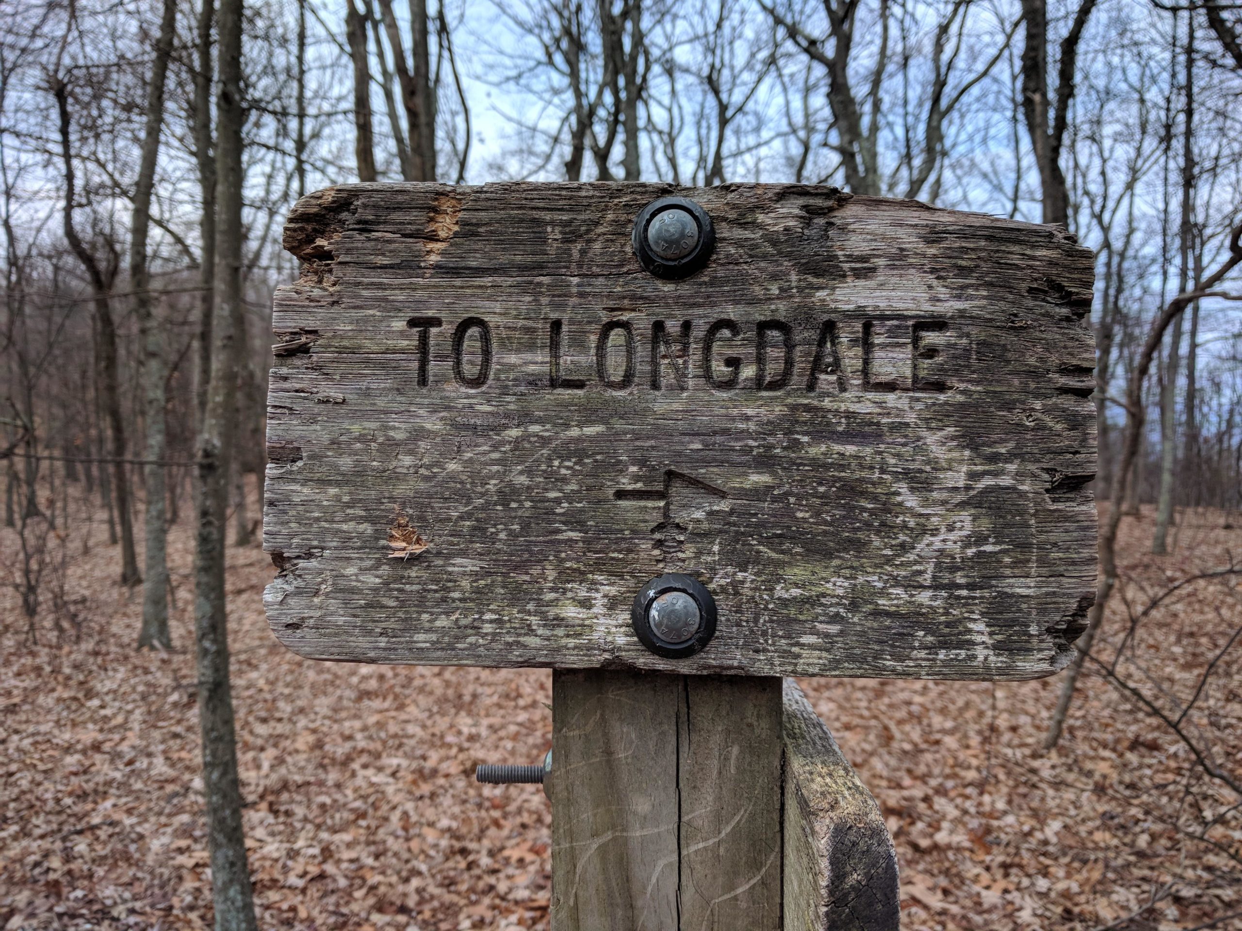 A weathered wooden sign reading "TO LONGDALE" with an arrow pointing left, mounted on a post, surrounded by a wooded area with leaf-covered ground and bare trees. North Mountain/longdale Loop mountain bike trail.
