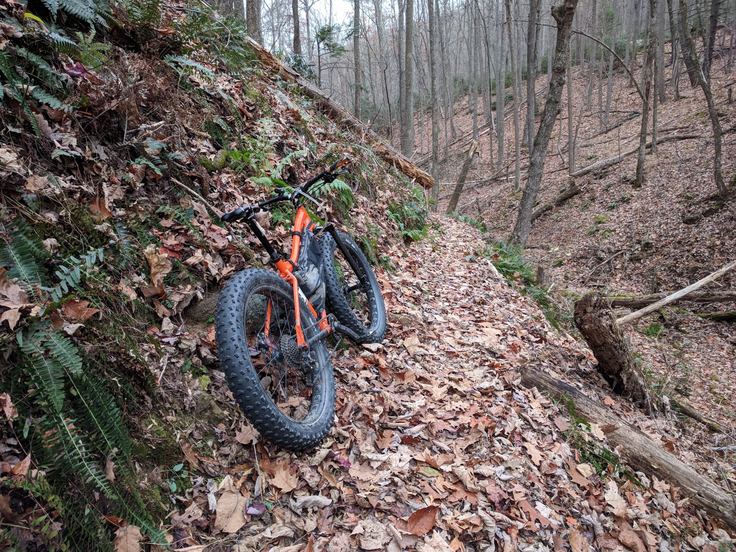 A fat tire bike rests against a hillside covered in autumn leaves and ferns, with a wooded trail in the background. The scene captures the essence of outdoor biking in a forested area during the fall. North Mountain/longdale Loop mountain bike trail.