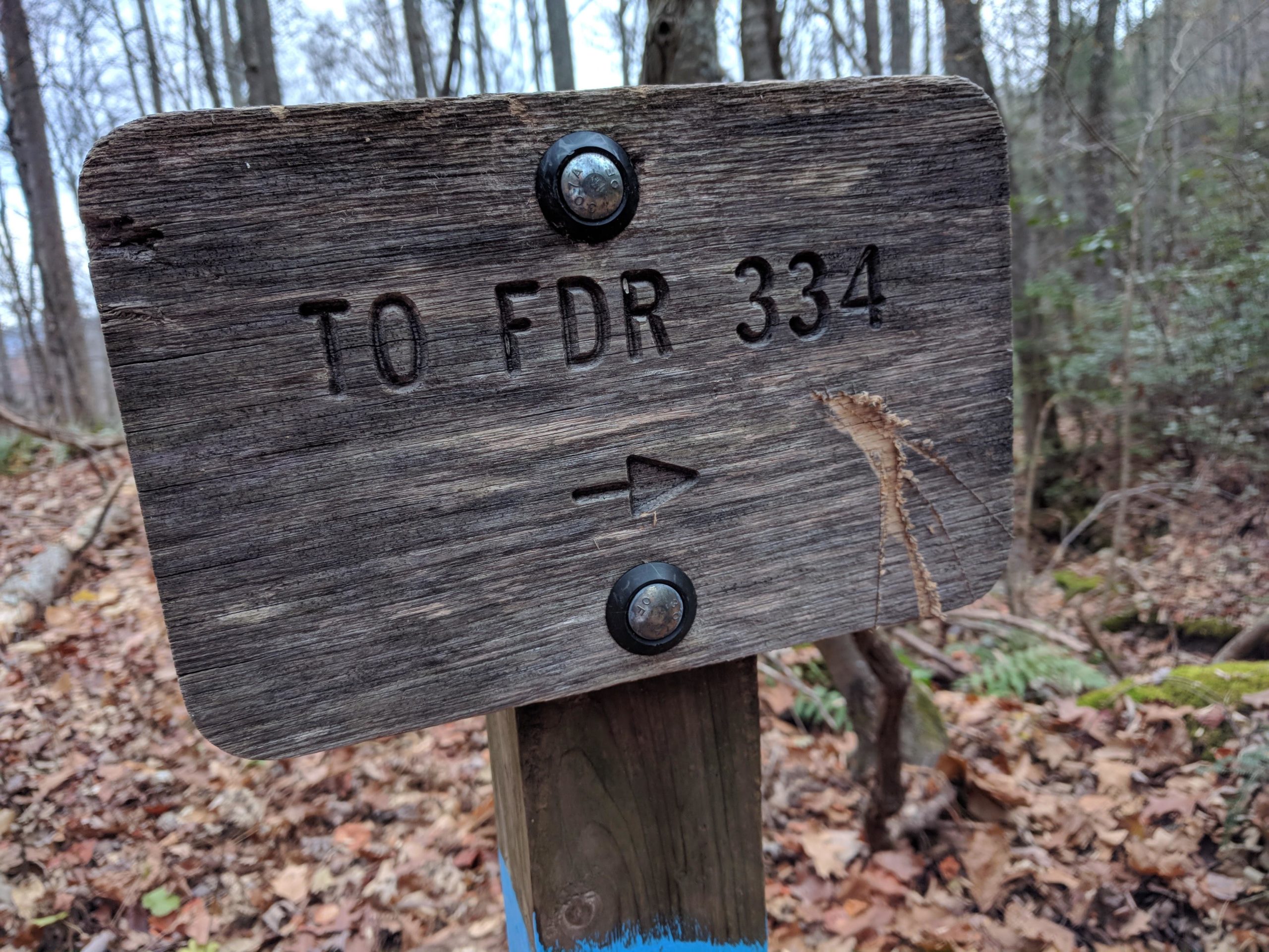 Wooden trail sign with the inscription "TO FDR 334," featuring an arrow pointing right, surrounded by a forest floor covered in fallen leaves and trees in the background. North Mountain/longdale Loop mountain bike trail.