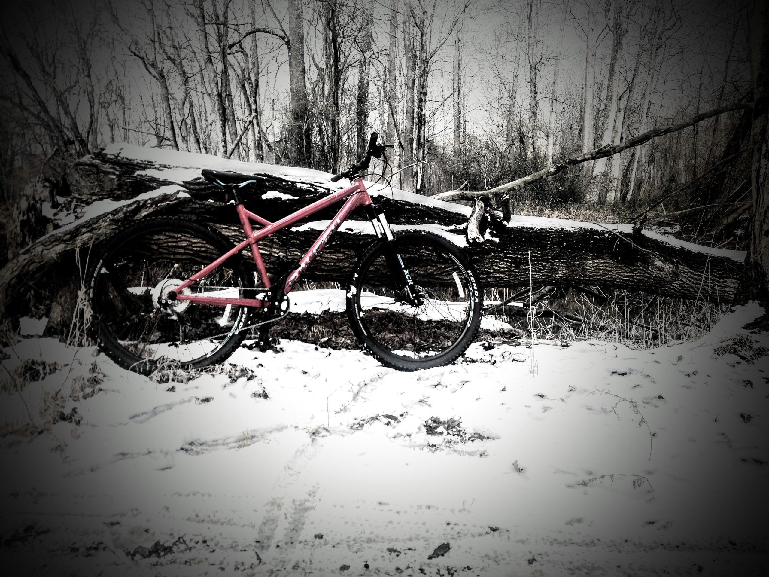 A pink mountain bike positioned beside a large fallen tree in a snowy forest landscape, with bare trees in the background. The ground is covered in snow, creating a serene winter atmosphere. Mercer County Park mountain bike trail.