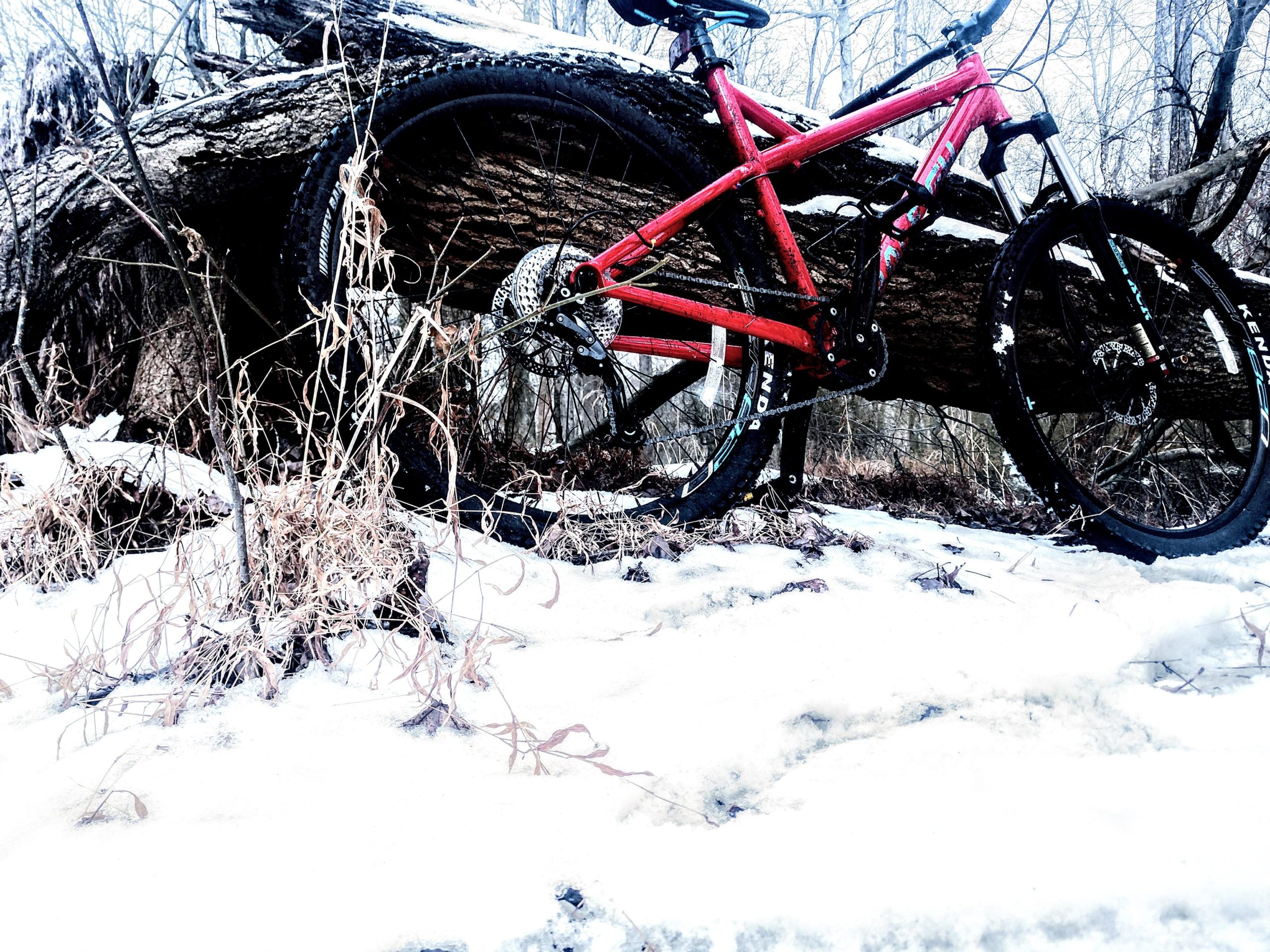 A red mountain bike placed against a fallen tree trunk, surrounded by snow and dried grass. The scene depicts a wintery outdoor setting with a mix of natural elements and the bike prominently in view. Mercer County Park mountain bike trail.