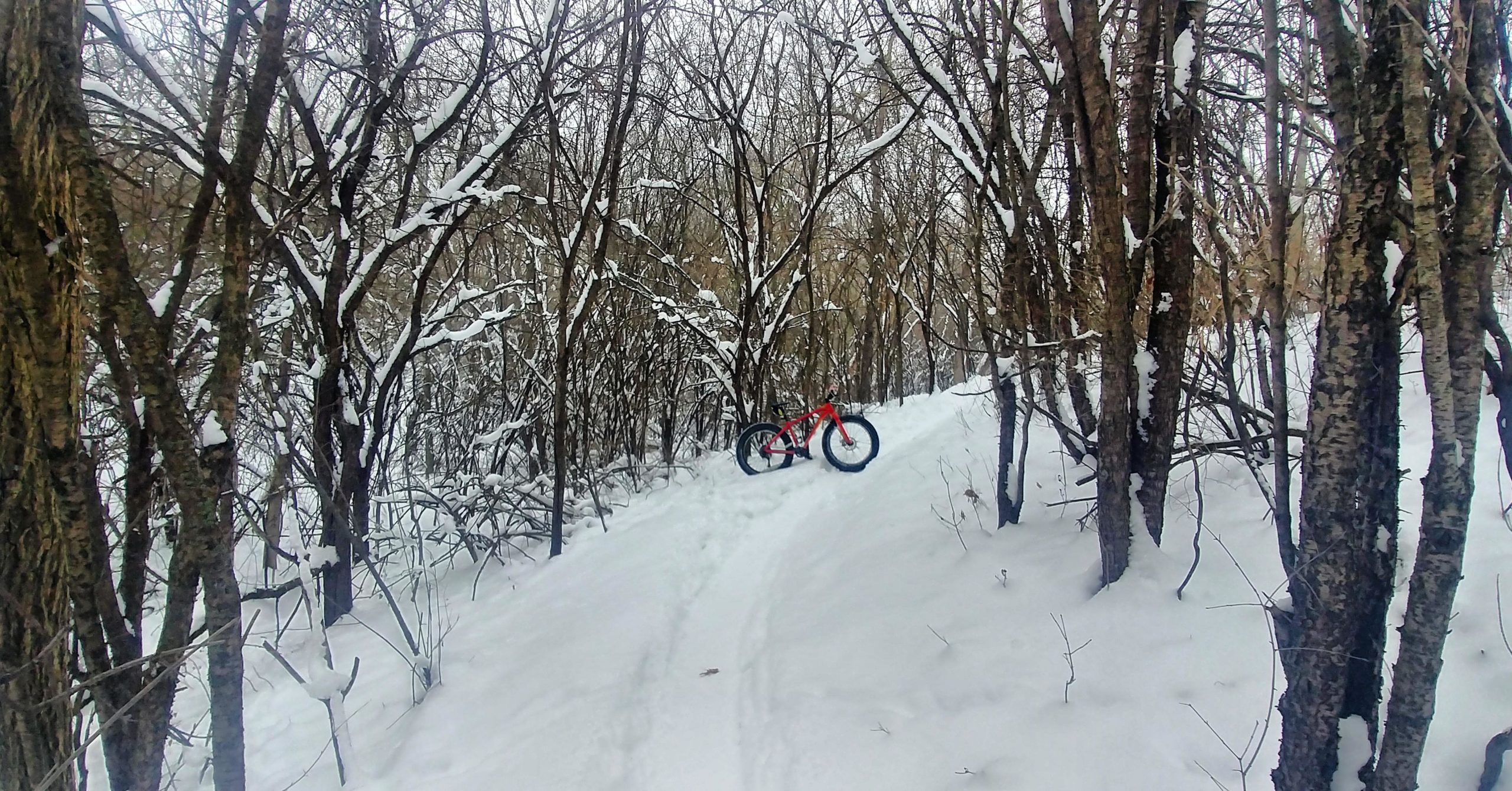 A vibrant red fat bike rests on a snowy trail surrounded by bare trees and a winter landscape. The ground is blanketed with snow, and some branches are dusted with white, suggesting a serene winter environment ideal for biking adventures. Maybury mountain bike trail.