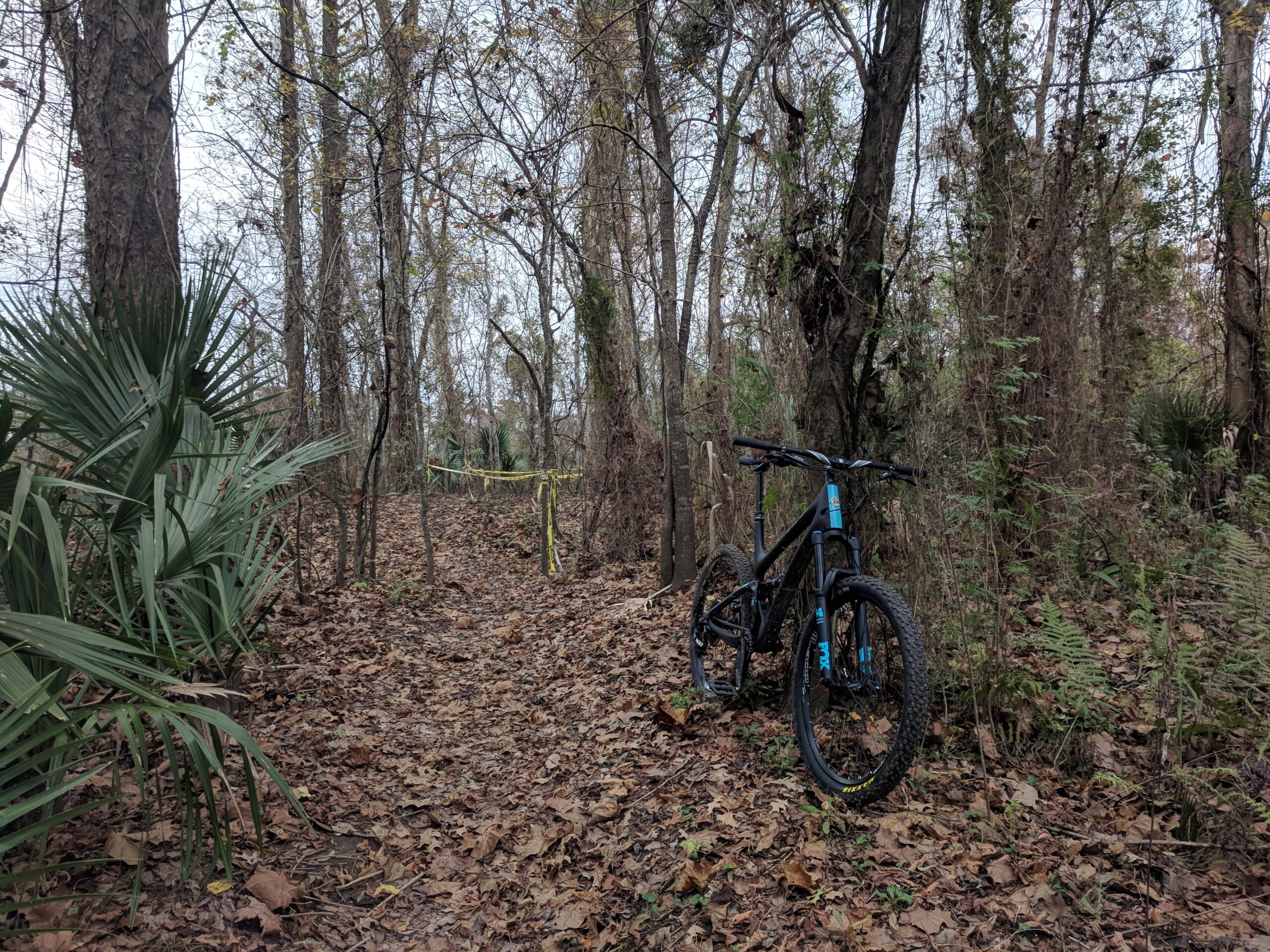Yeti SB5: A mountain bike is parked beside a dirt trail surrounded by trees, with fallen leaves covering the ground. The trail is marked with yellow caution tape, indicating a potential obstruction ahead. Lush green plants are visible alongside the path, creating a natural, wooded environment.