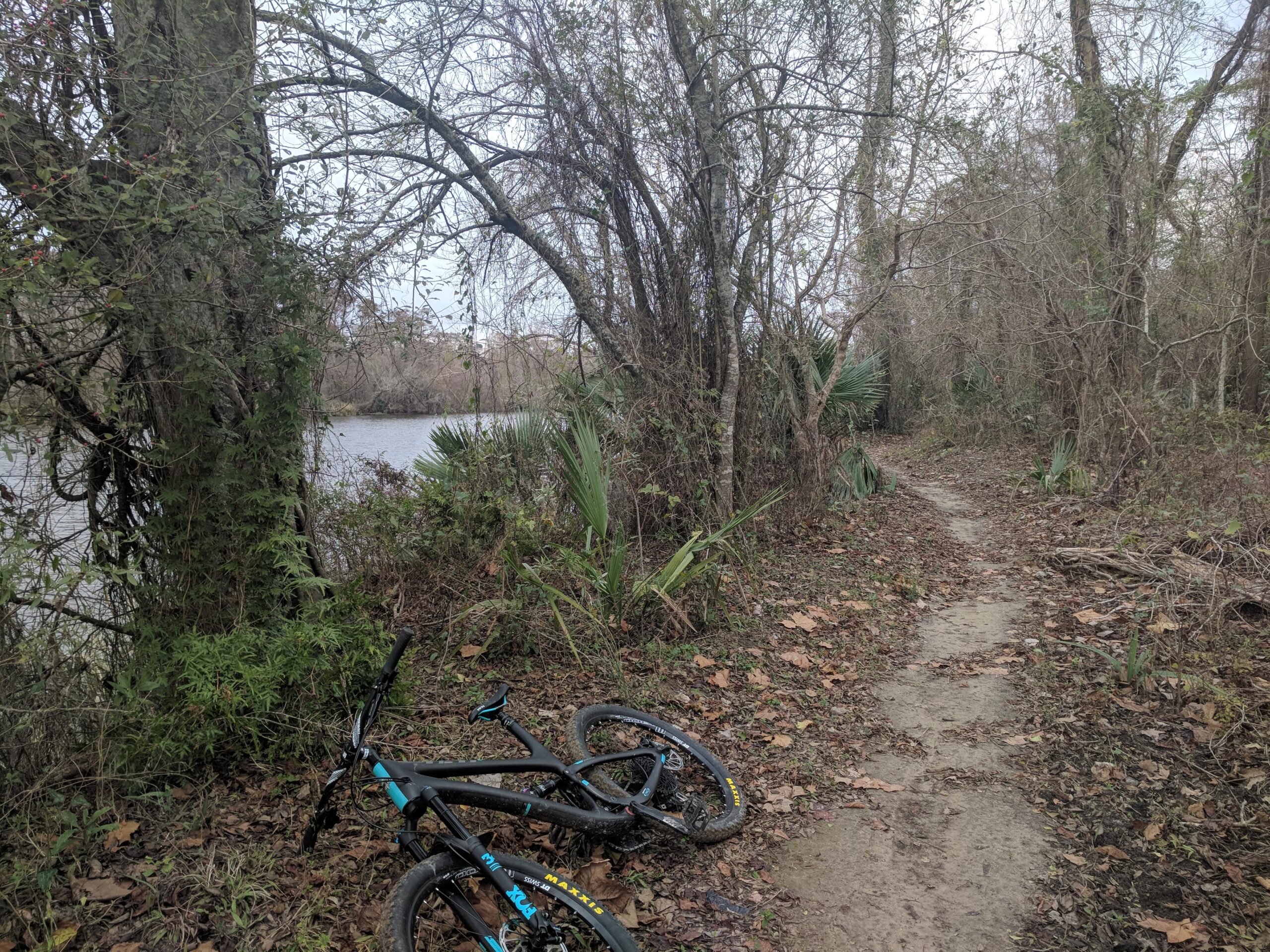 Yeti SB5: A mountain bike lies on its side beside a dirt path in a wooded area, with a river visible in the background. Leafless trees and dense underbrush surround the scene, indicating a natural environment. The ground is covered in fallen leaves, and the sky is overcast.