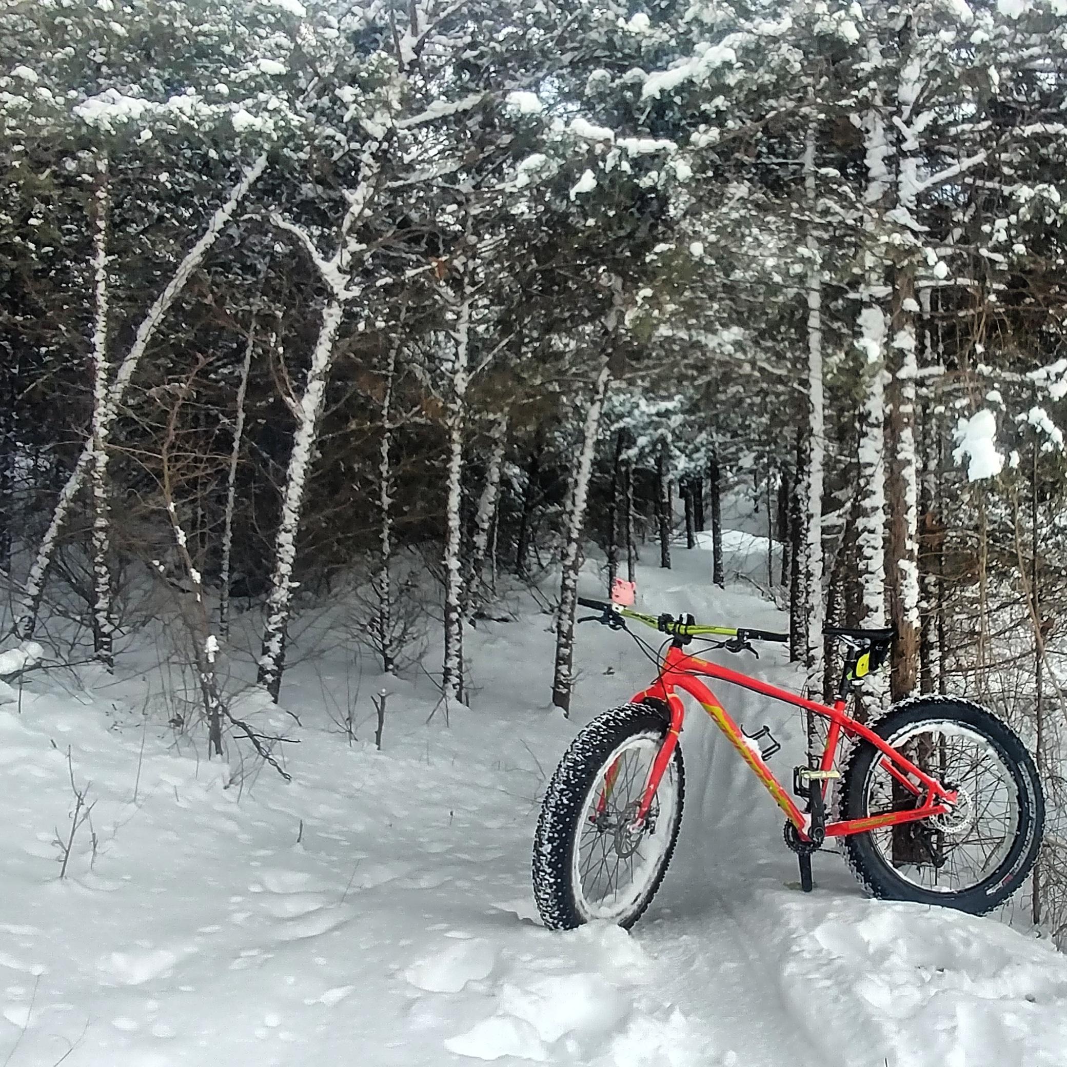 A fat tire bike rests on a snowy path in a forest, surrounded by trees dusted with snow. The scene depicts a serene winter landscape, highlighting the bike's vibrant orange frame against the white snow. DTE Energy Foundation Trail mountain bike trail.