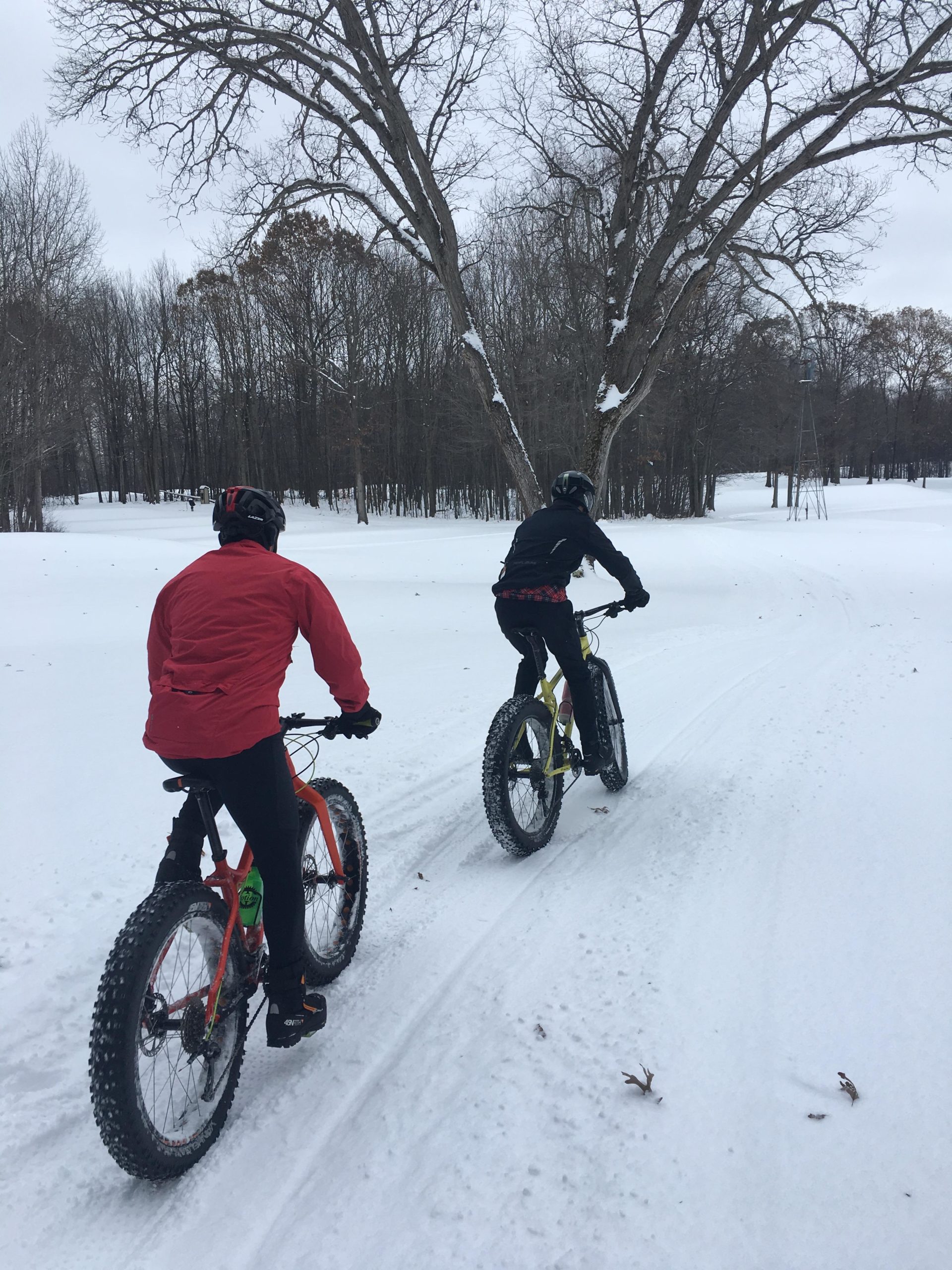 Two cyclists riding fat tire bikes along a snowy path in a winter landscape, surrounded by trees without leaves under a cloudy sky. Snow Snake mountain bike trail.