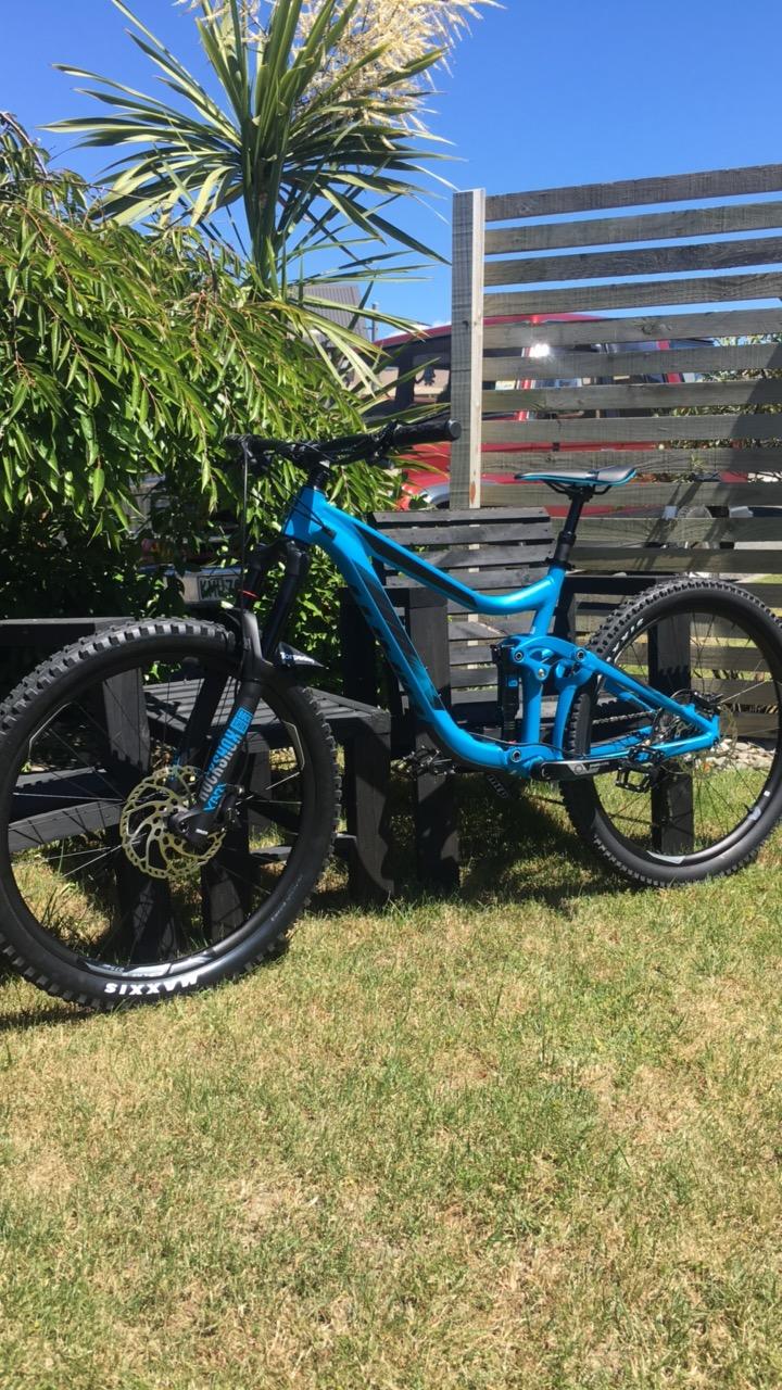 Giant Reign: A bright blue mountain bike resting on green grass next to a black wooden bench, surrounded by lush greenery and a clear blue sky.