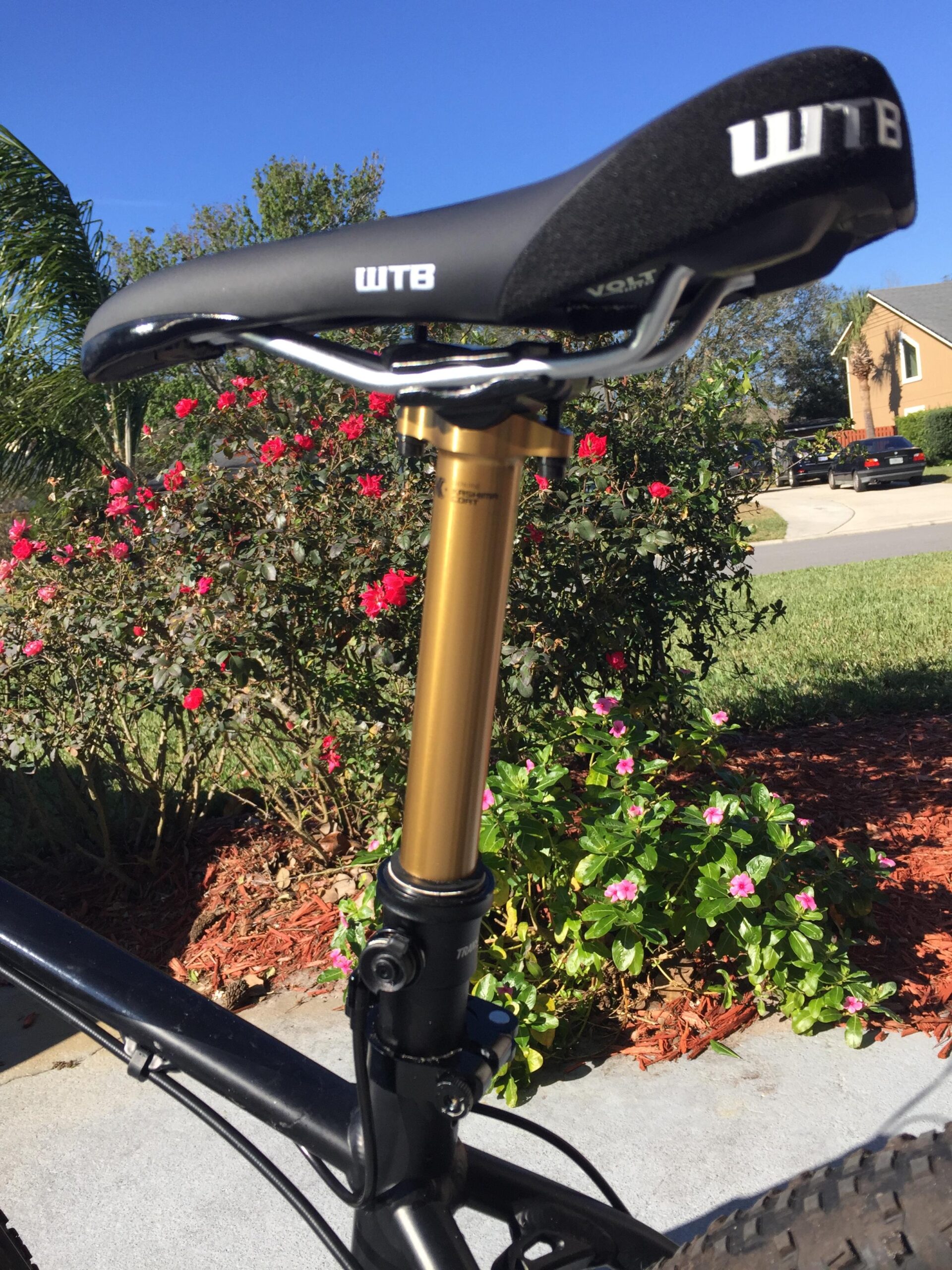 Giant Talon 29er: Close-up image of a bicycle seat and seat post, displaying a black WTB saddle mounted on a shiny gold seat post. The background features blooming flowers and greenery under a clear blue sky. The bike's frame is partially visible, with surrounding landscaping visible in the scene.