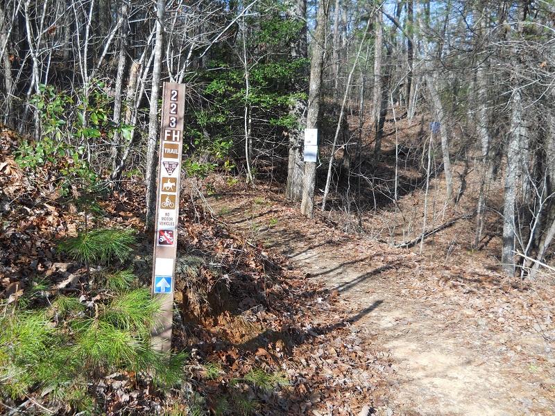A trail sign marking Forest Trail 223, with icons indicating activities such as hiking, biking, and restrictions on motor vehicles. The sign is situated in a wooded area with fallen leaves and small pine trees, and a narrow path diverges into the forest. Jake Mountain Trails mountain bike trail.