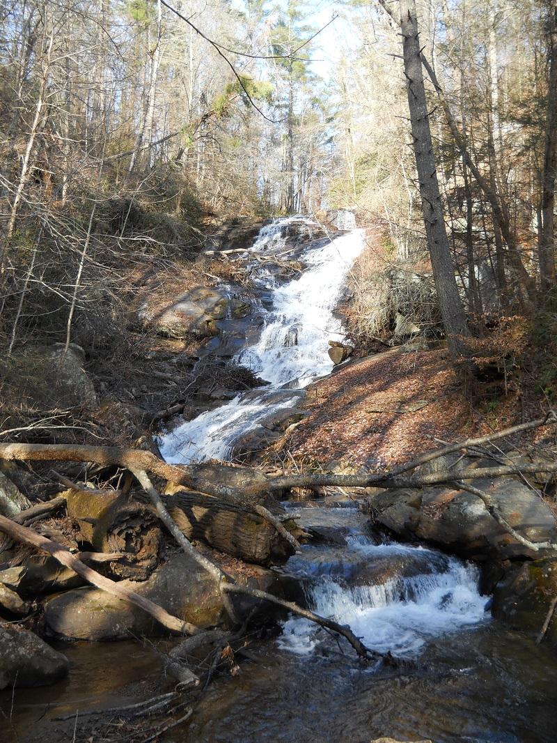 A serene waterfall cascading down a rocky hillside, surrounded by trees with sparse foliage. Sunlight filters through the branches, illuminating the water and surrounding rocks, while fallen branches and leaves create a natural border along the stream below. The Bee Trail mountain bike trail.
