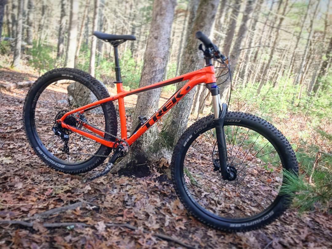 Trek Roscoe 8: A bright orange mountain bike leaning against a tree in a wooded area, surrounded by leaves and greenery. The bike features wide tires and a sturdy frame, ideal for off-road trails.
