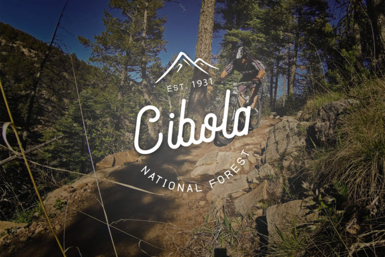 Cibola National Forest