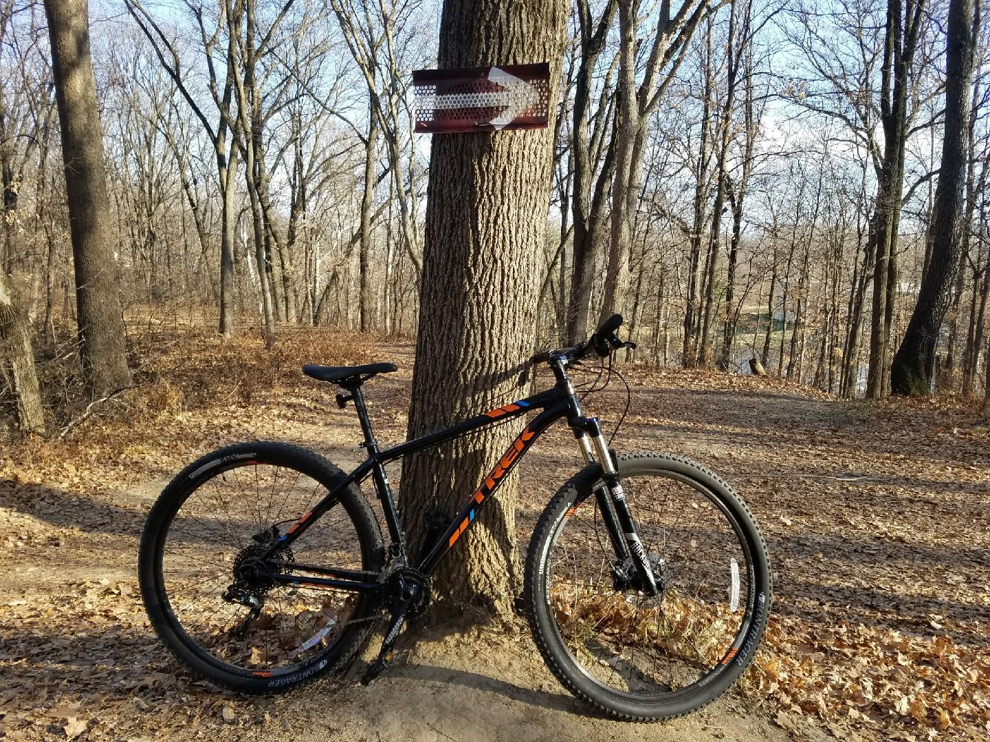Trek EX 8: A black mountain bike with orange accents is leaning against a tree on a dirt trail surrounded by trees with bare branches. A directional sign is affixed to the tree, indicating a path to the left. The ground is covered with fallen leaves, and the scene is set in a wooded area on a clear day.