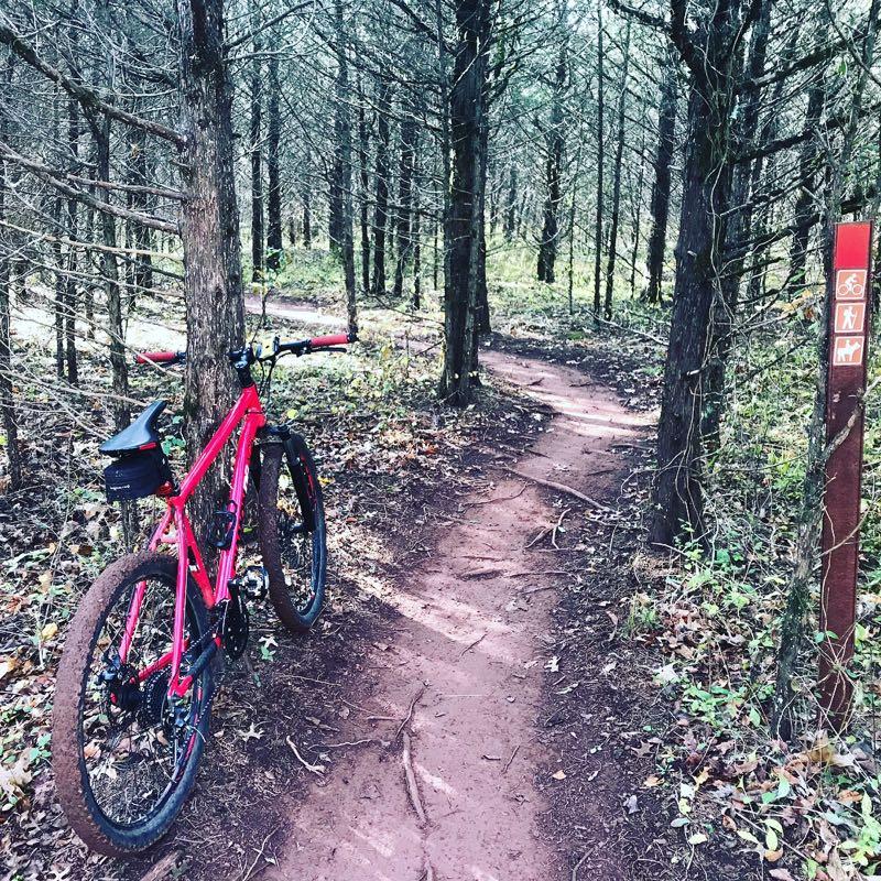 A bright pink mountain bike leans against a tree on a dirt trail winding through a forest. In the background, tall trees surround the path, which is marked by a sign indicating bike and hiking trails. The ground is covered with leaves and roots, suggesting a natural, outdoor setting. Six Mile Run mountain bike trail.