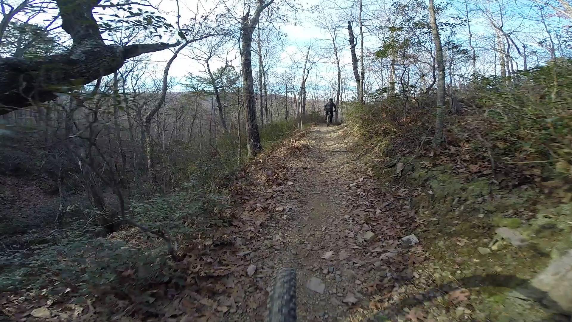 A dirt bike trail winding through a wooded area with bare trees and scattered fallen leaves. In the background, a cyclist rides along the trail, surrounded by nature. The scene captures the essence of outdoor biking in a tranquil forest setting. Carvin's Cove Trail system mountain bike trail.