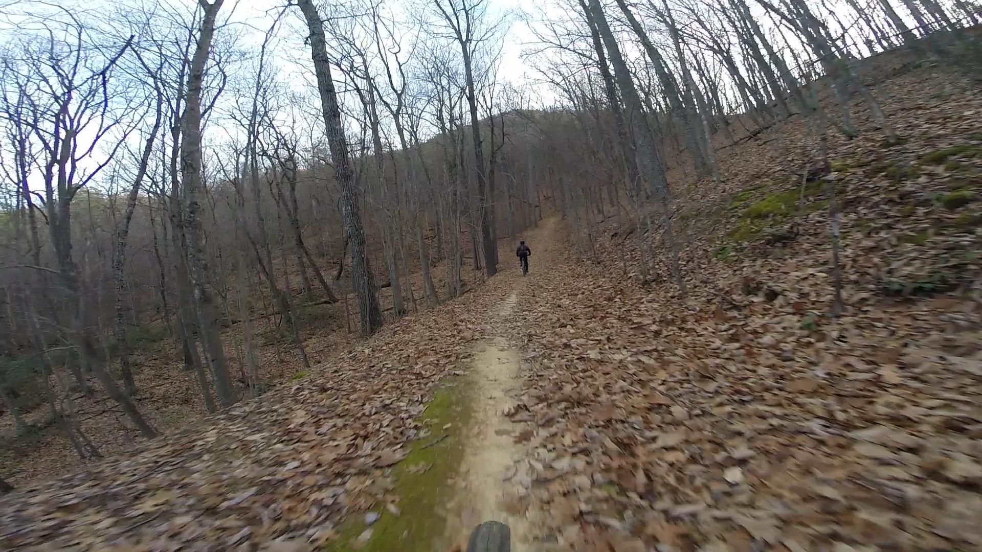 A dirt trail winds through a wooded area with sparse trees and fallen leaves. In the distance, a person on a bicycle rides up the path, surrounded by nature during the off-season. The scene captures a serene outdoor atmosphere, highlighting the beauty of a winter landscape. Carvin's Cove Trail system mountain bike trail.