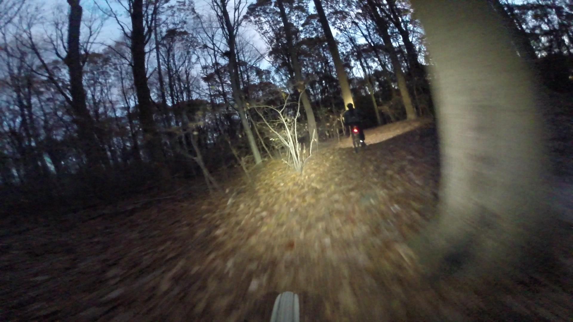 A cyclist riding on a wooded trail at dusk, surrounded by trees and fallen leaves, with a light illuminating the path ahead. Richmond Avenue and Forest Hill road mountain bike trail.