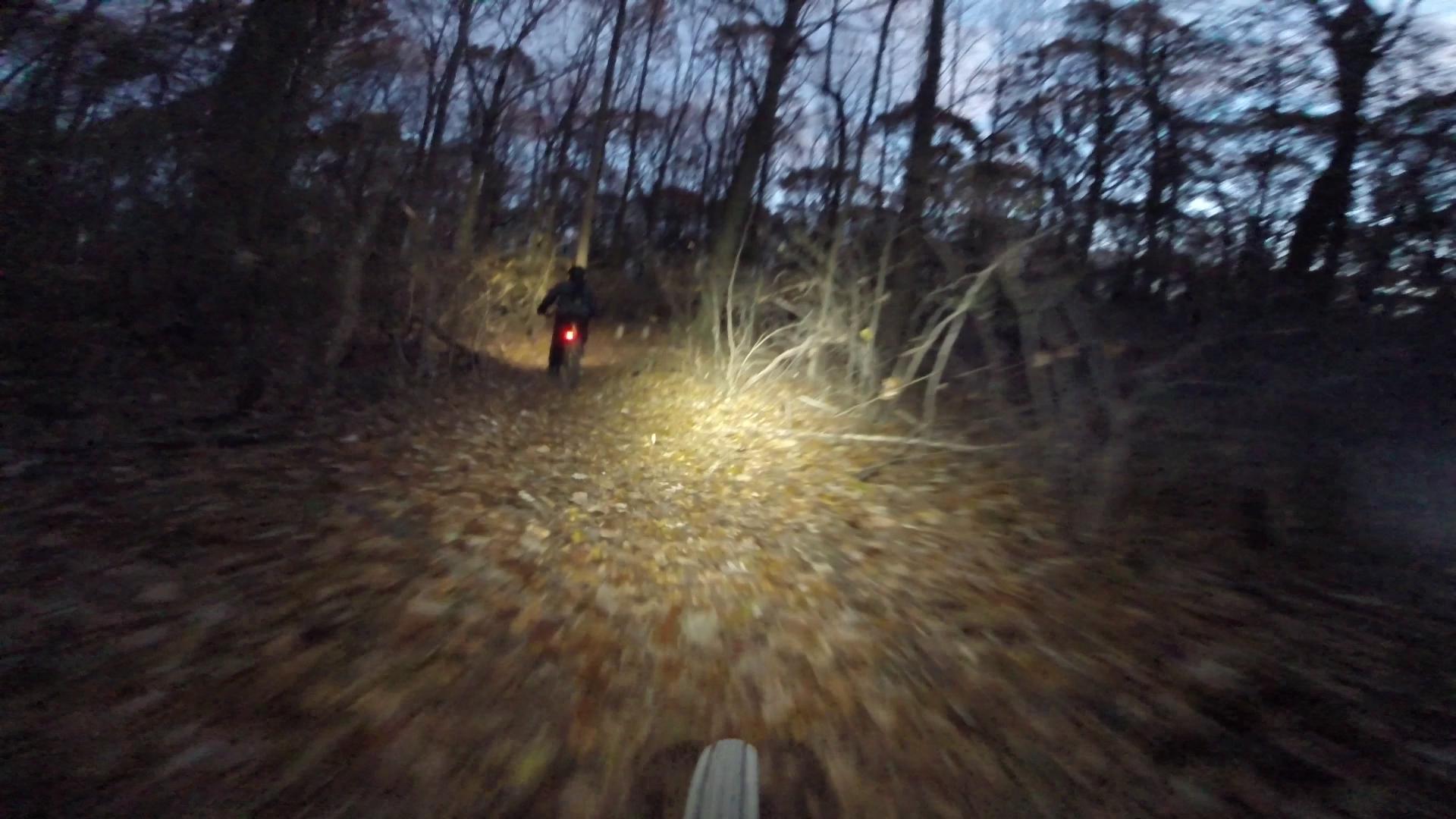 A cyclist riding on a leaf-covered trail through a wooded area during dusk, with a bright bike light illuminating the path ahead. Richmond Avenue and Forest Hill road mountain bike trail.