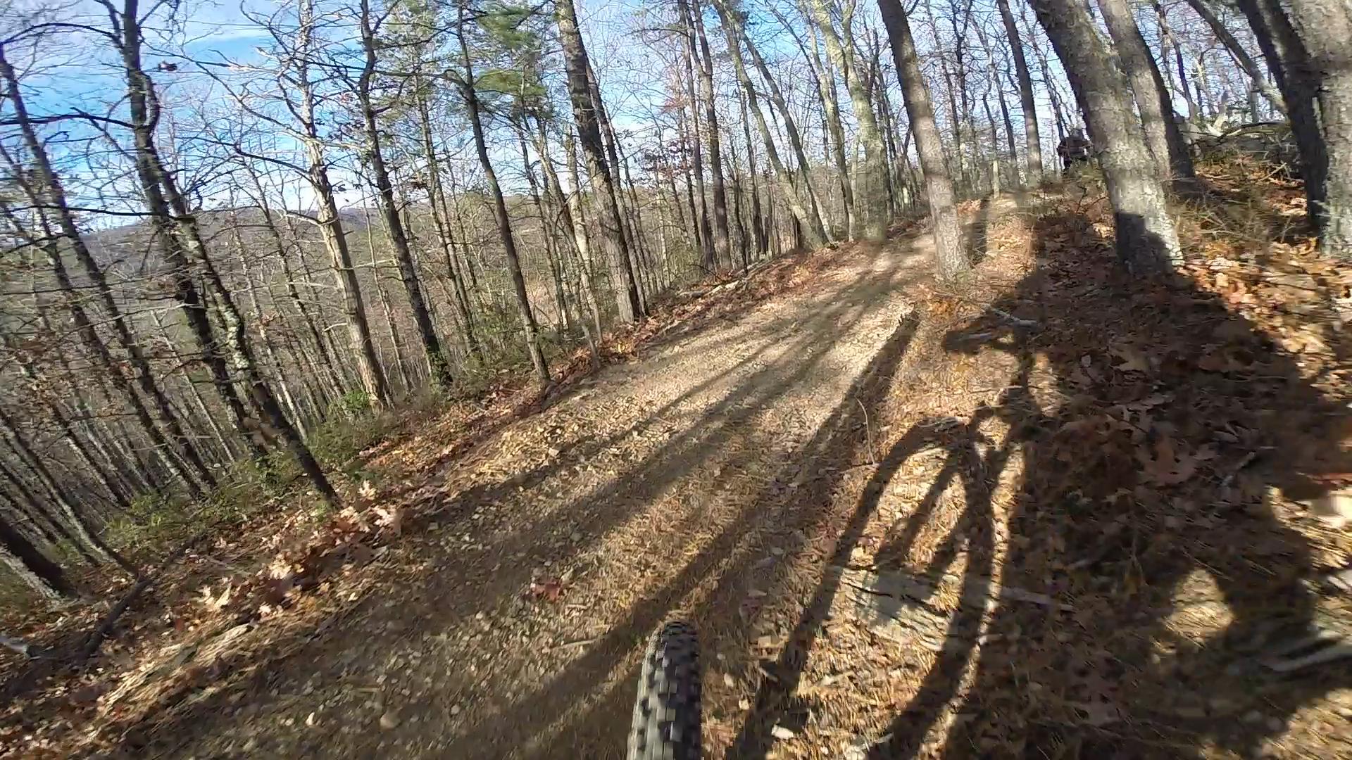A mountain bike tire on a dirt trail surrounded by tall trees, with the shadow of the bike and rider visible on the ground. Sunlight filters through the branches, highlighting the autumn leaves scattered on the trail. Carvin's Cove Trail system mountain bike trail.