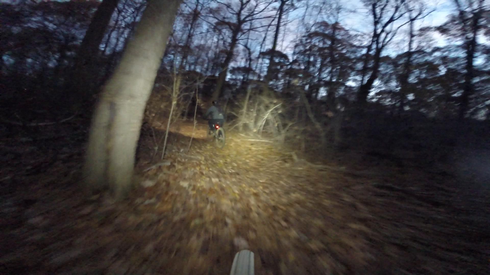 A mountain biker rides through a wooded trail at dusk, with fallen leaves covering the path. The bike's rear light is visible, illuminating the surroundings as trees loom on either side. Richmond Avenue and Forest Hill road mountain bike trail.