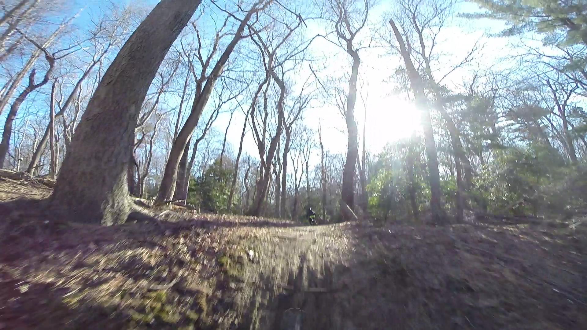 A cyclist riding through a wooded trail on a sunny day, with tall trees and bright sunlight filtering through the branches. The ground is covered with leaves and dirt, showcasing a natural and adventurous outdoor setting. Allaire State Park mountain bike trail.