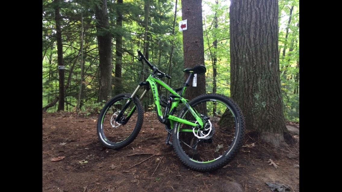 Trek Slash 7: A vibrant green mountain bike resting against a tree in a wooded area, surrounded by tall trees and underbrush. A trail marker with a directional arrow can be seen on the tree, indicating a bike trail. The ground is covered with dirt and fallen leaves.