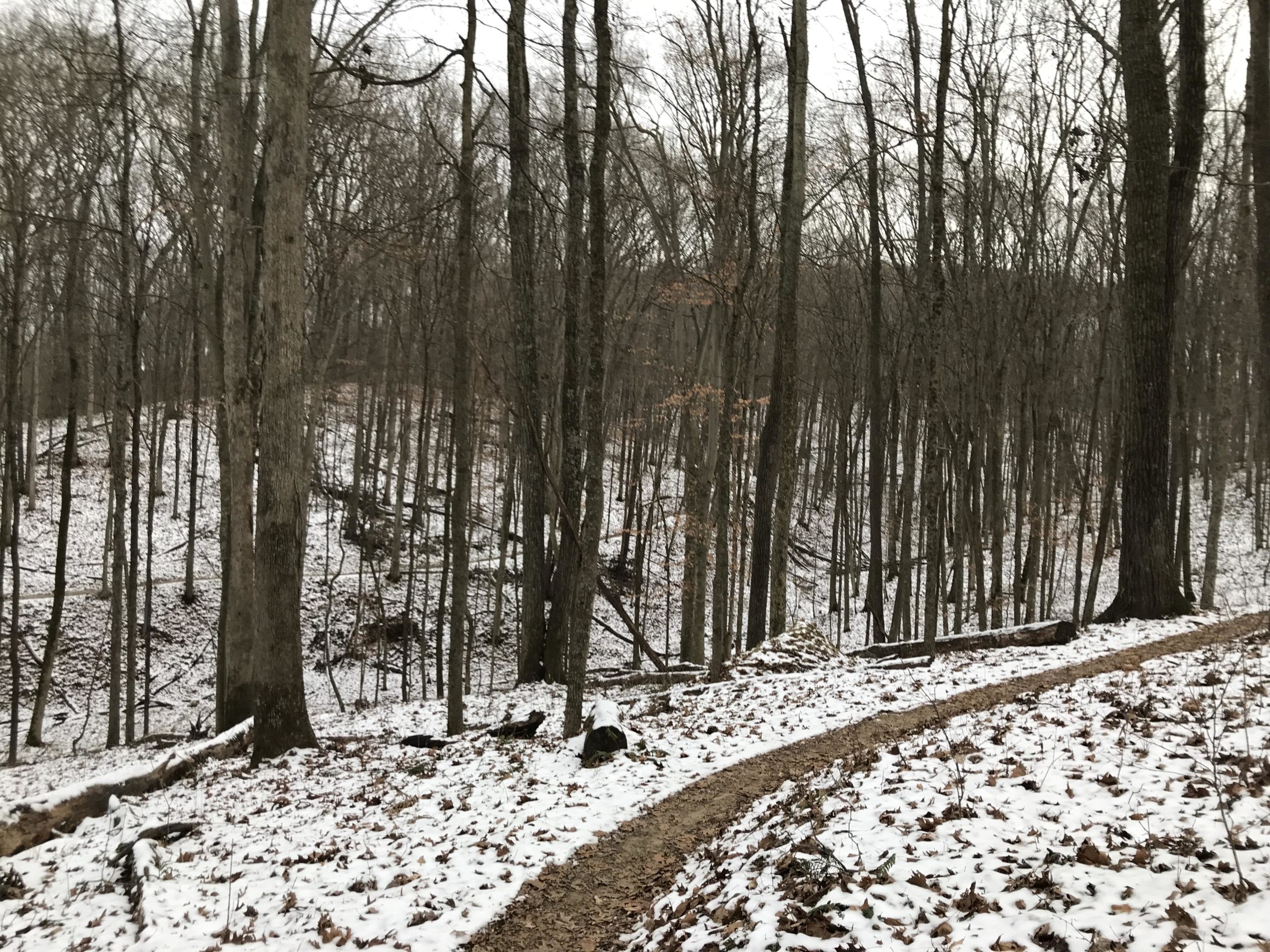 A winding dirt path through a snowy forest, with tall, bare trees in the background. The ground is partially covered in snow, and some fallen leaves are visible. The scene conveys a tranquil, wintry atmosphere. Brown County Park mountain bike trail.