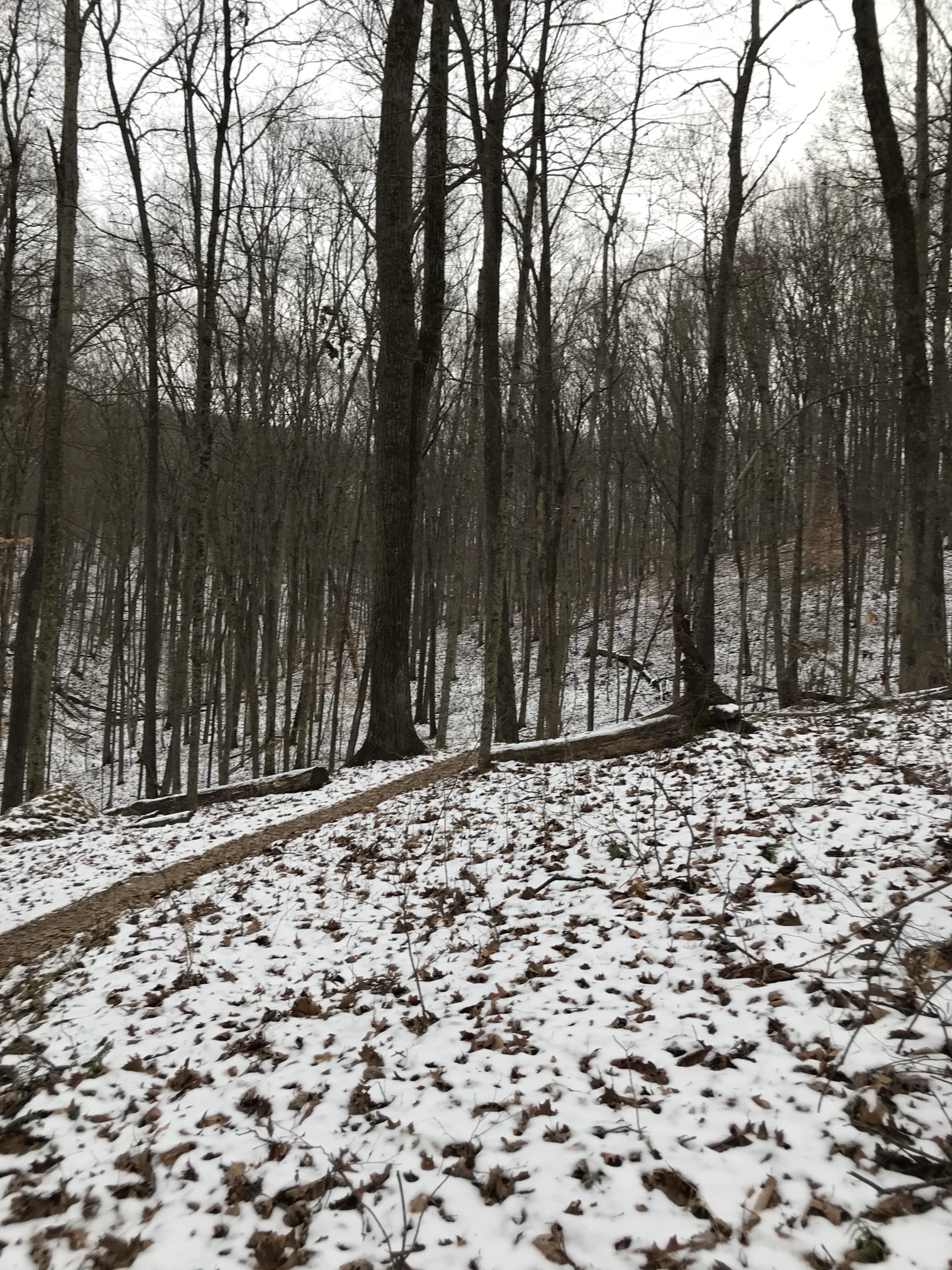 A serene winter landscape featuring a trail winding through a forest of bare trees. Snow covers the ground, and fallen leaves are scattered among patches of white. The scene is calm and quiet, with overcast skies above. Brown County Park mountain bike trail.
