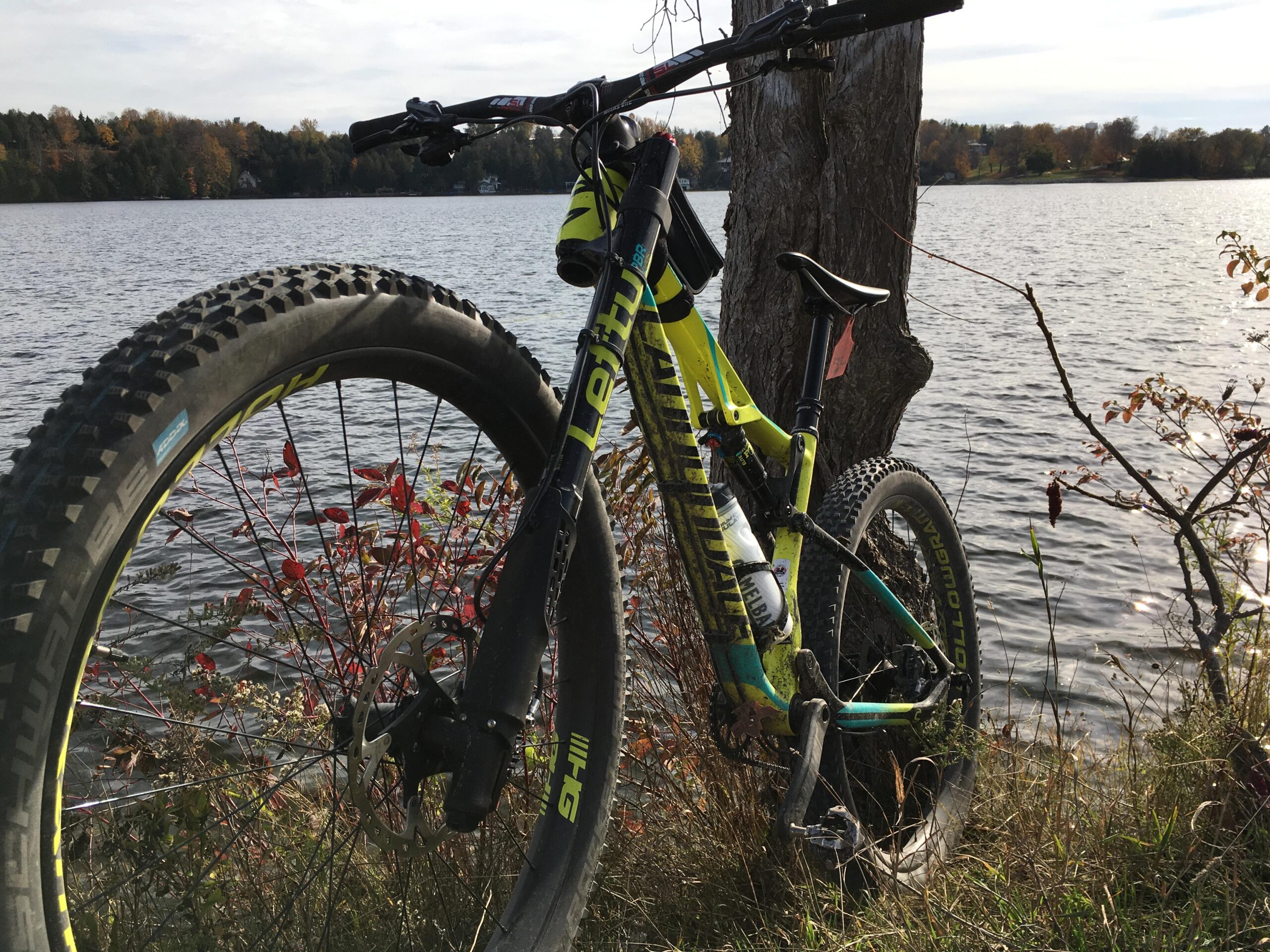 Cannondale Bad Habit: A brightly colored mountain bike leaning against a tree by a lake, with a view of water and autumn foliage in the background.