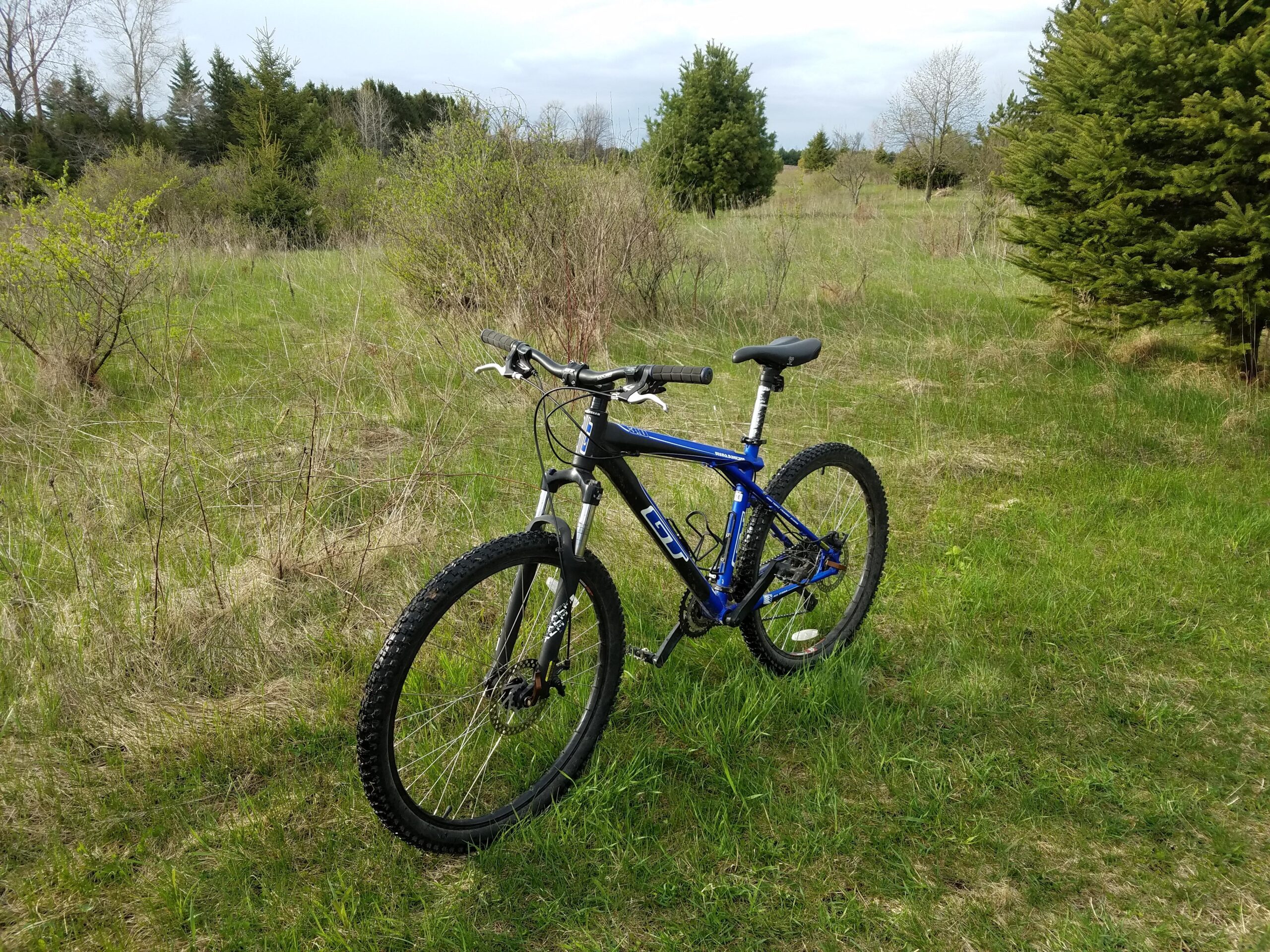 GT Avalanche: A blue mountain bike parked on grassy terrain with sparse trees and shrubs in the background under a partly cloudy sky.
