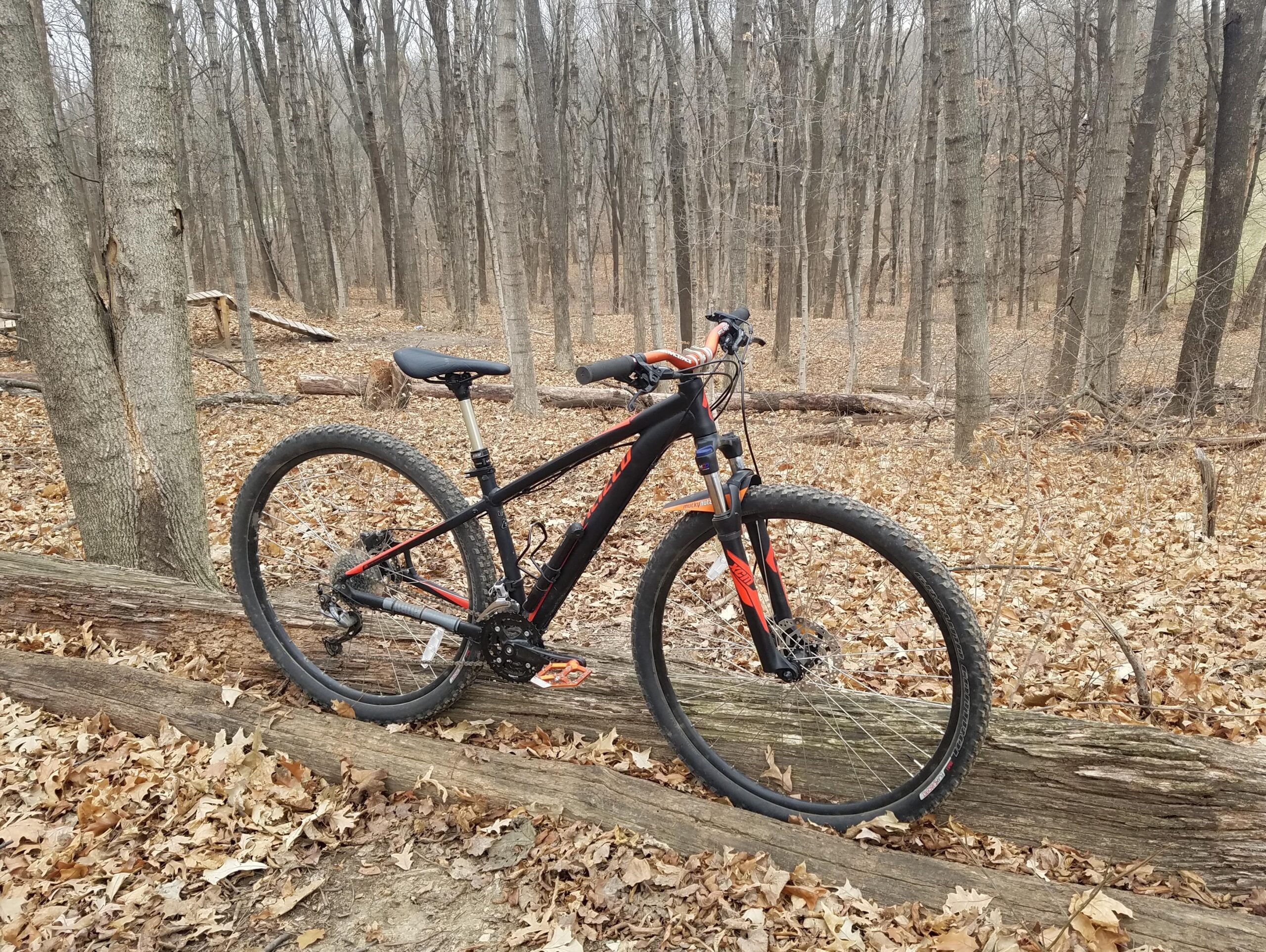 Specialized Rockhopper Sport 29: A mountain bike leaning against a fallen log in a forest setting with bare trees and fallen leaves on the ground. The bike features a black and orange design, showcasing its sturdy frame and knobby tires, indicating it's suitable for off-road terrain.