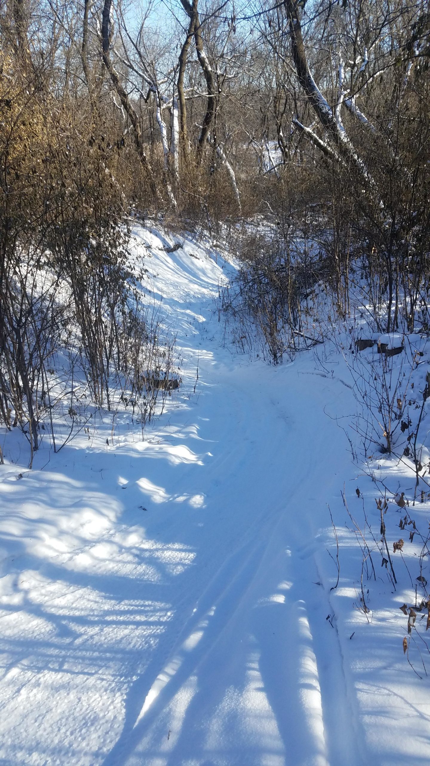A snow-covered pathway winding through a forested area, flanked by bare trees and shrubs. The sunlight creates shadows on the snow, highlighting the texture and contours of the landscape, suggesting a quiet and serene winter scene. Elm Creek Park mountain bike trail.