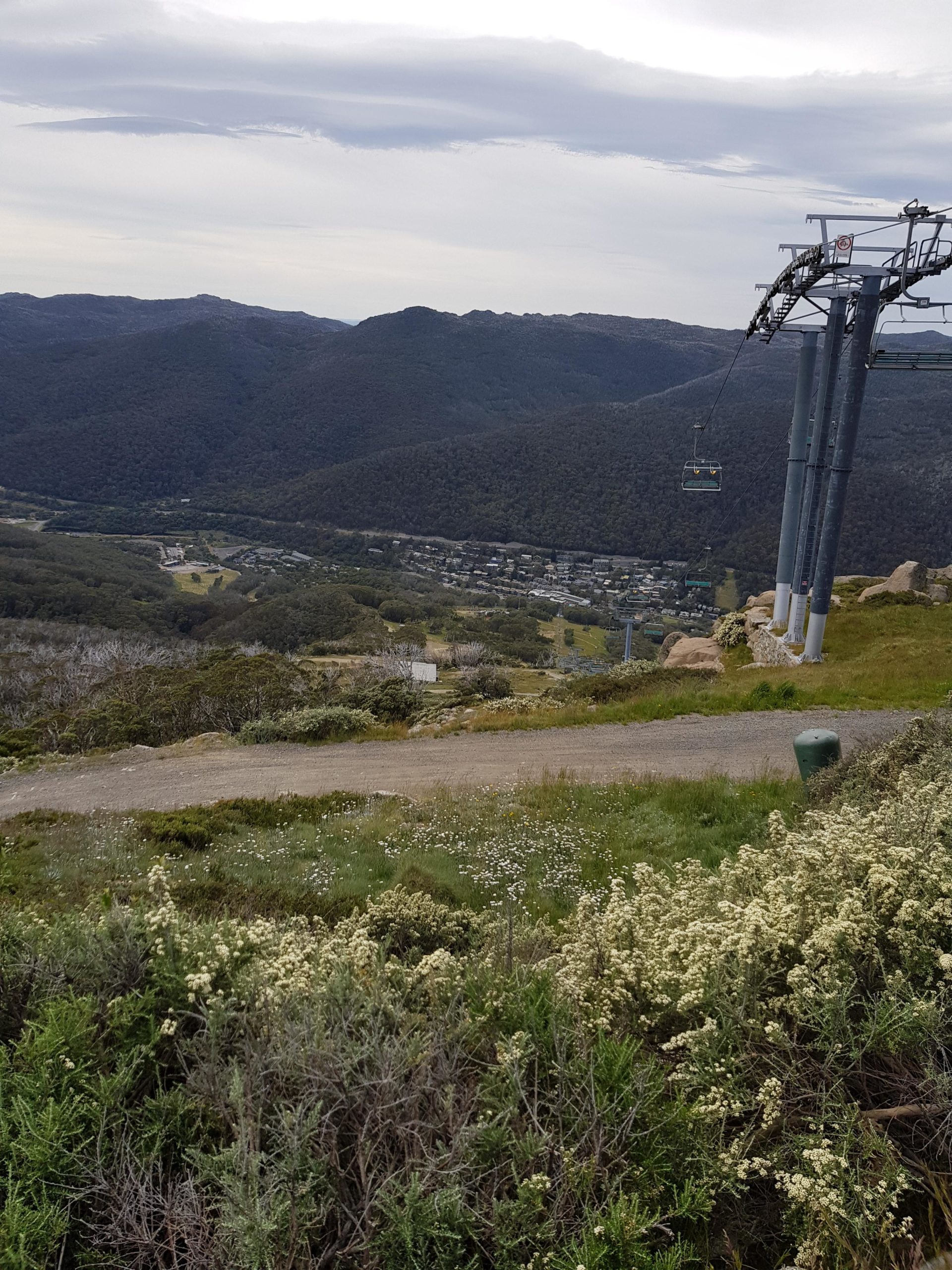 A panoramic view of a mountainous landscape featuring rolling green hills, dotted with patches of wildflowers. In the foreground, a ski lift stands with empty chairs, while a small settlement is visible in the valley below, surrounded by lush greenery. The sky is partly cloudy, creating a serene atmosphere. Kosciuszko Flow Trail mountain bike trail.
