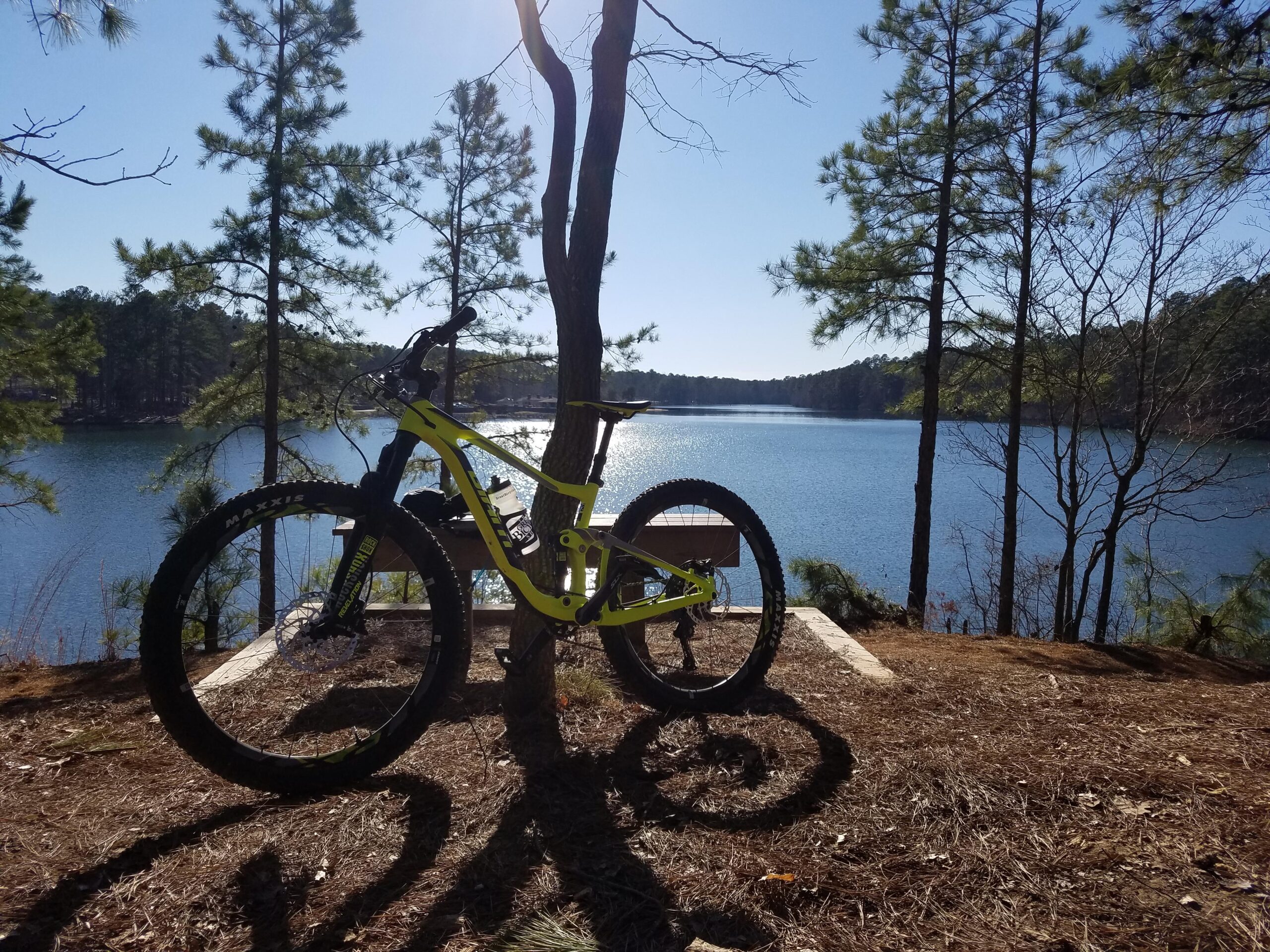 Giant Anthem 27.5 2: A bright, sunny day at a serene lakeside setting, featuring a mountain bike leaning against a tree. The calm water reflects the clear blue sky, surrounded by pine trees and distant hills.