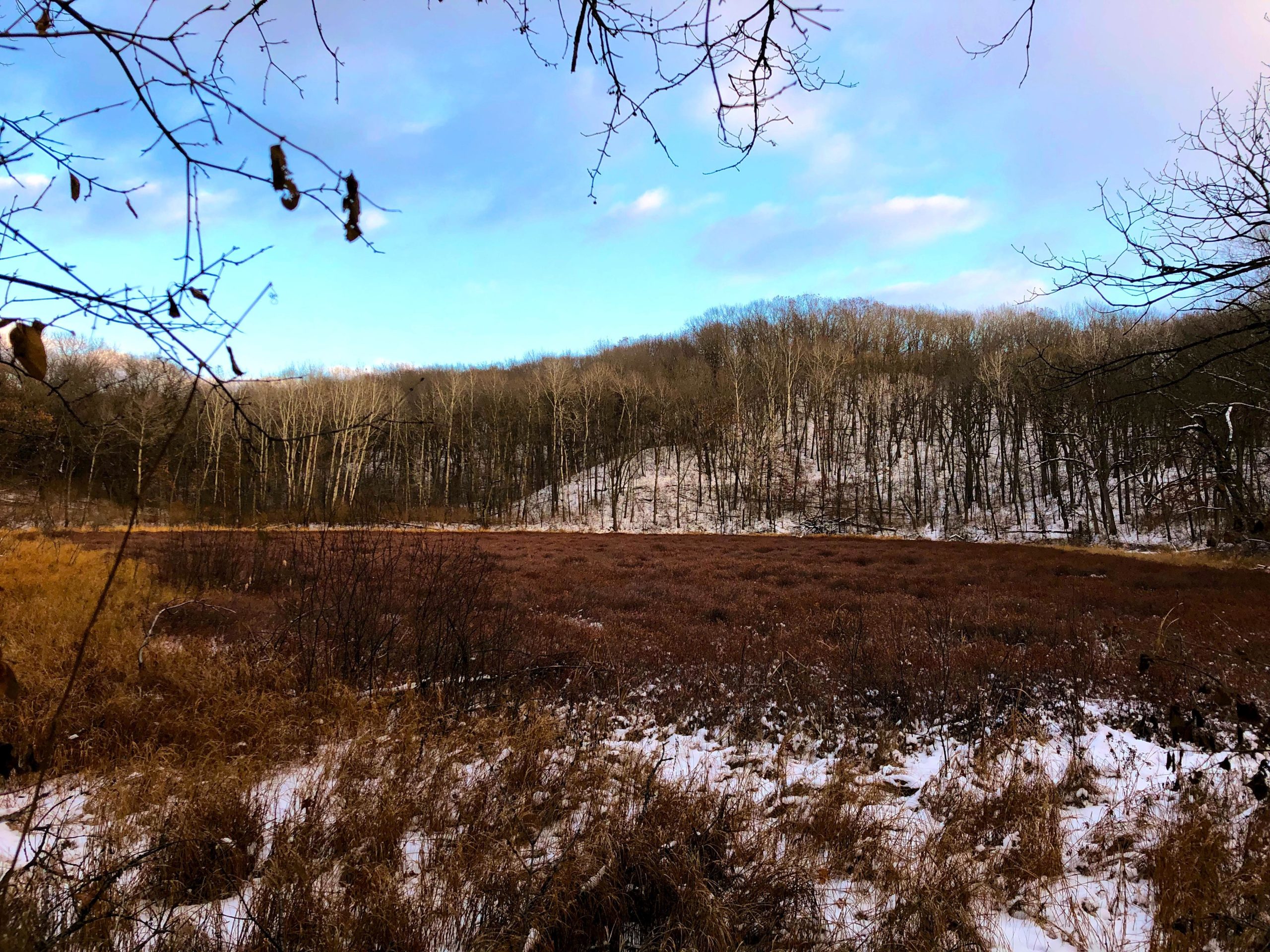 A tranquil winter landscape showing a field with patches of brown grasses and snow, bordered by a thin line of trees in the background. The sky is clear with soft clouds and hints of blue, while branches from nearby trees are visible in the foreground. Kettle Moraine John Muir + Emma Carlin mountain bike trail.