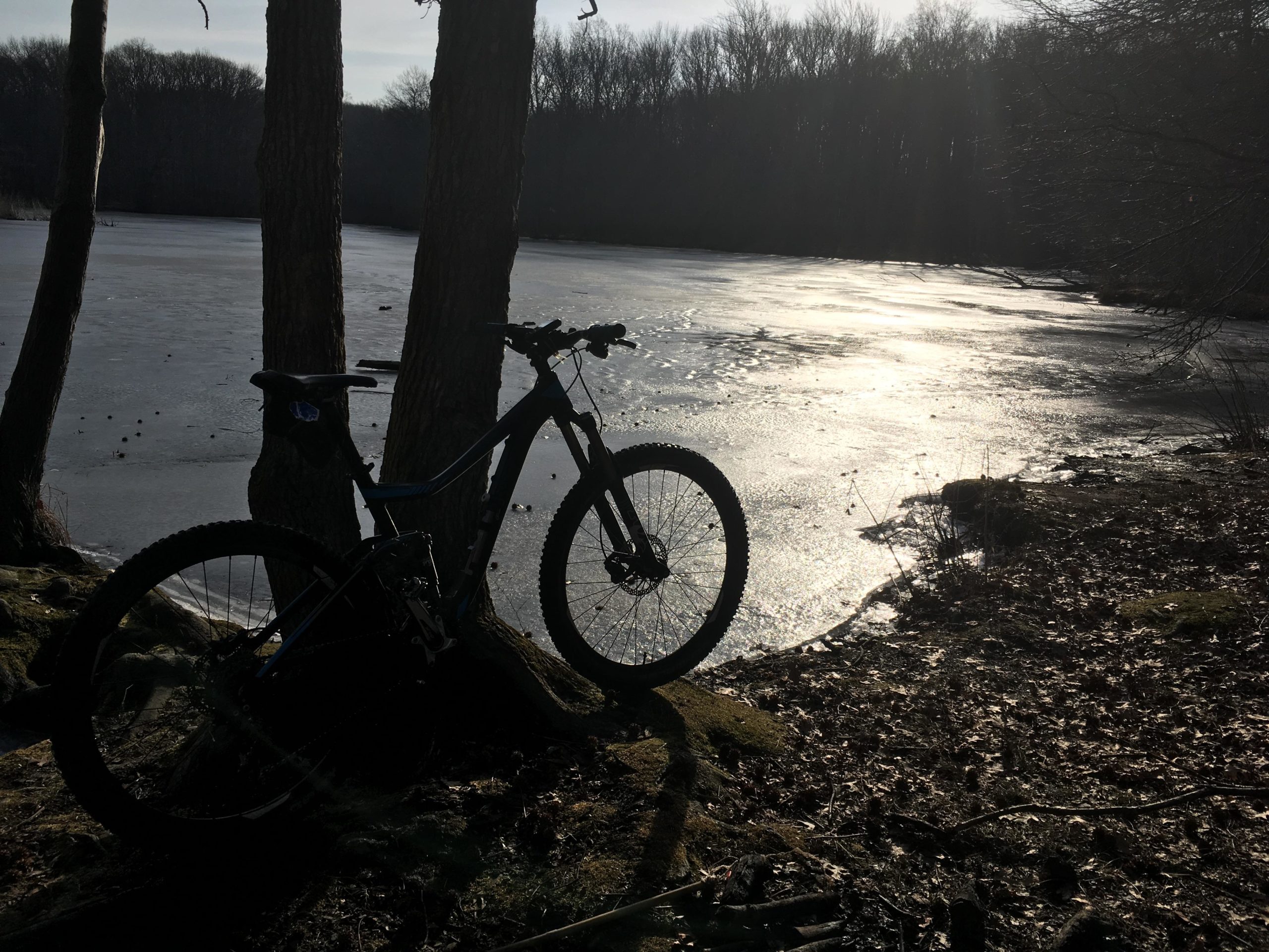 A mountain bike rests against two trees by a frozen lake, surrounded by bare branches and fallen leaves. The sun's reflection glitters on the ice, creating a serene winter landscape. Wolfes Pond park mountain bike trail.
