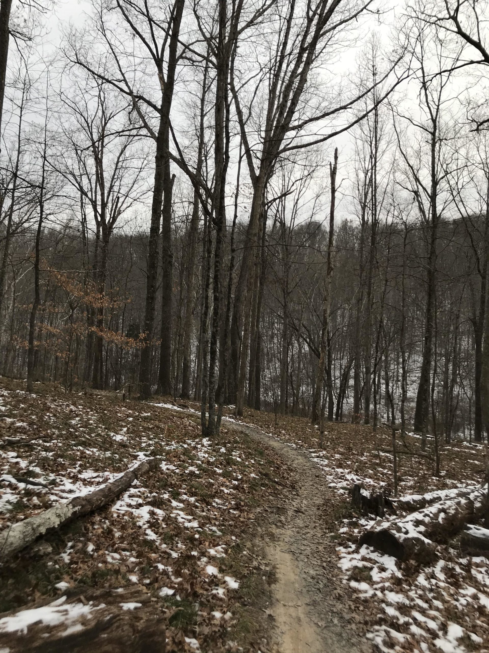 A winding dirt path traverses through a wooded area in late autumn or early winter, surrounded by bare trees and patches of snow on the ground. The landscape features a mix of brown leaves and greenery, under a cloudy sky. Brown County Park mountain bike trail.