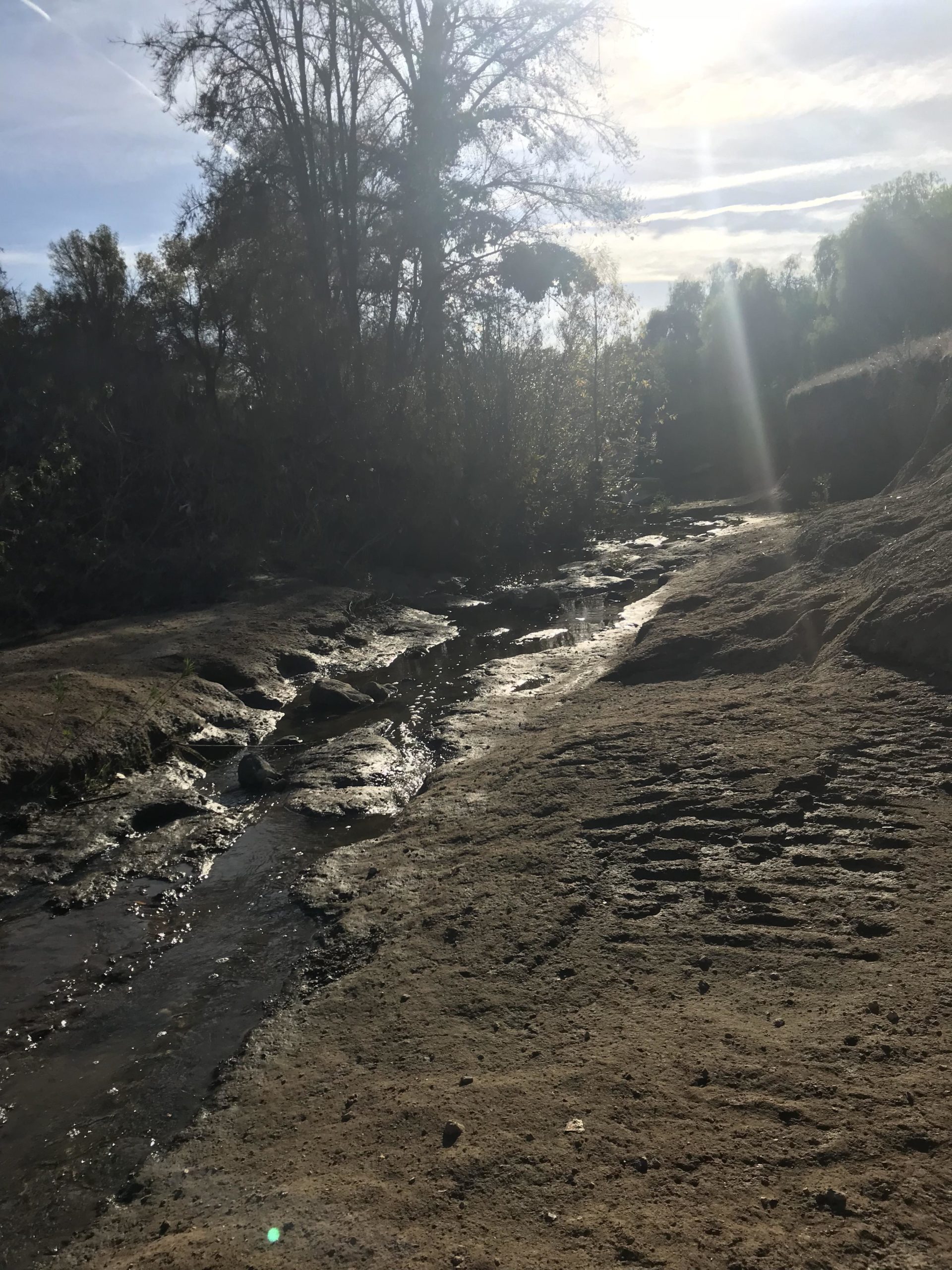 A sunlit natural landscape featuring a shallow stream flowing over rocky terrain, with scattered boulders and a background of trees illuminated by sunlight. The sky is partly cloudy, and the scene conveys a serene, tranquil atmosphere. Frank G. Bonelli Regional Park mountain bike trail.