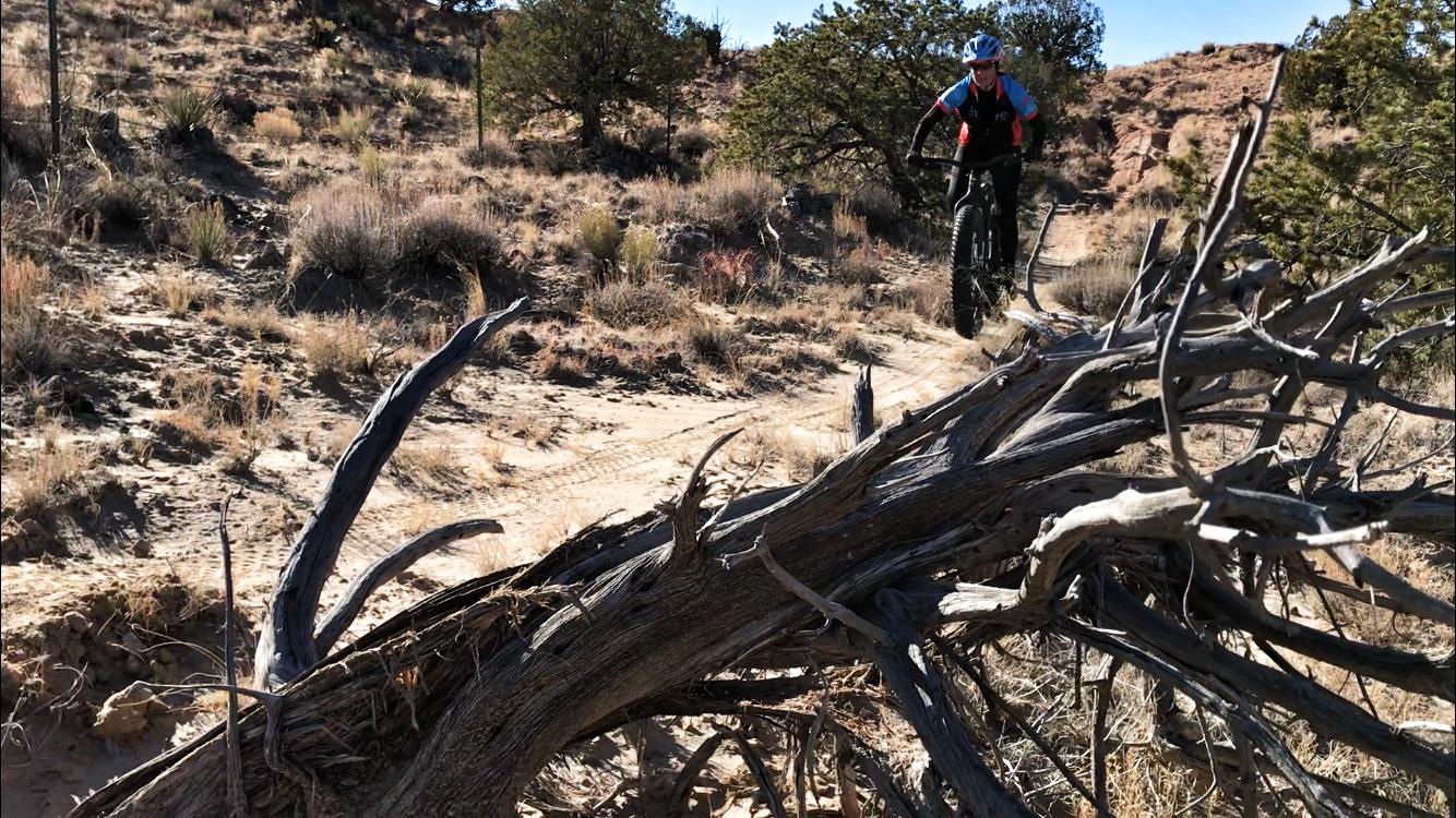 A mountain biker navigating a rough trail in a desert landscape, jumping over a fallen log. The background features sparse vegetation and rocky terrain under a clear blue sky. Mariposa Fat Bike Trails mountain bike trail.